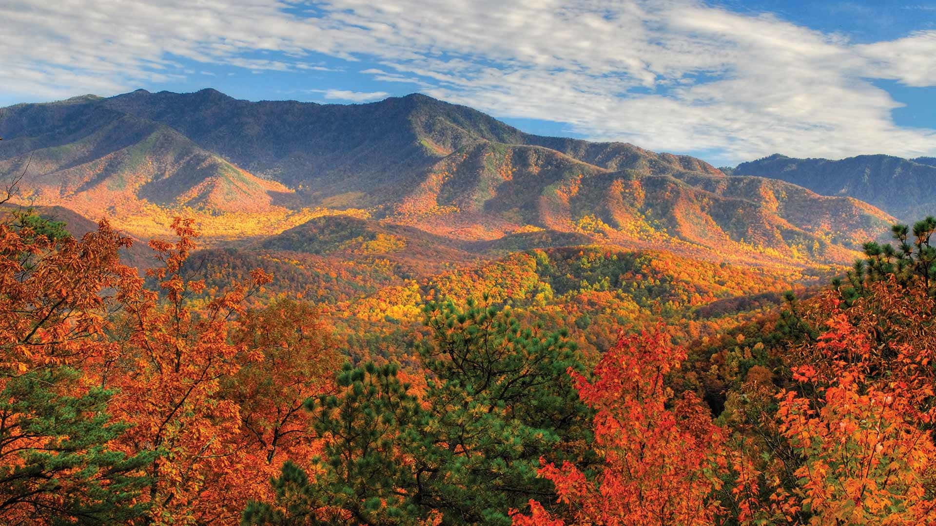 Blue Ridge Mountains, autumn foliage, rolling hills, Full HD Desktop Wallpaper