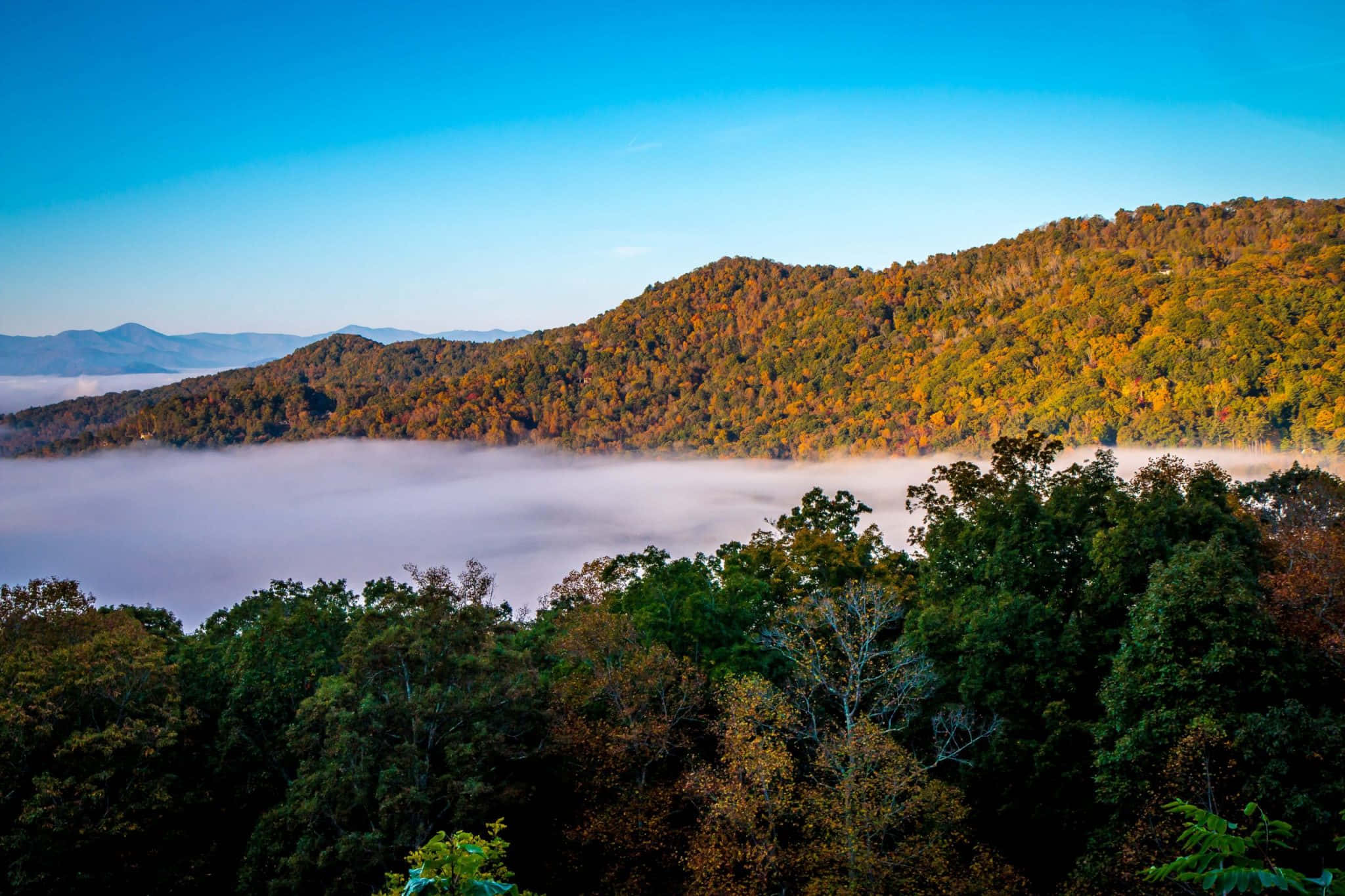 Blue Ridge Mountains, autumn sunrise, misty valley, Full HD Desktop Wallpaper