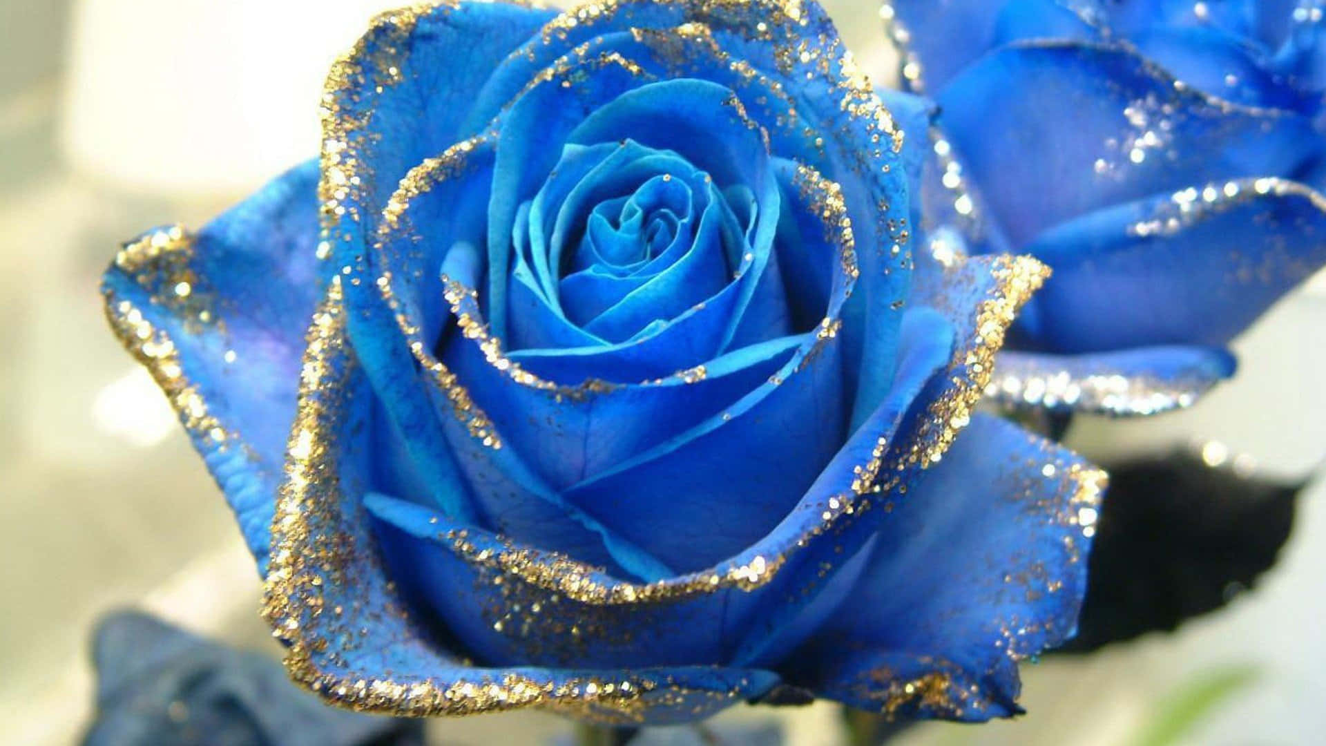 Blue Rose, vivid blue rose, glittering gold dust, Full HD Desktop Wallpaper