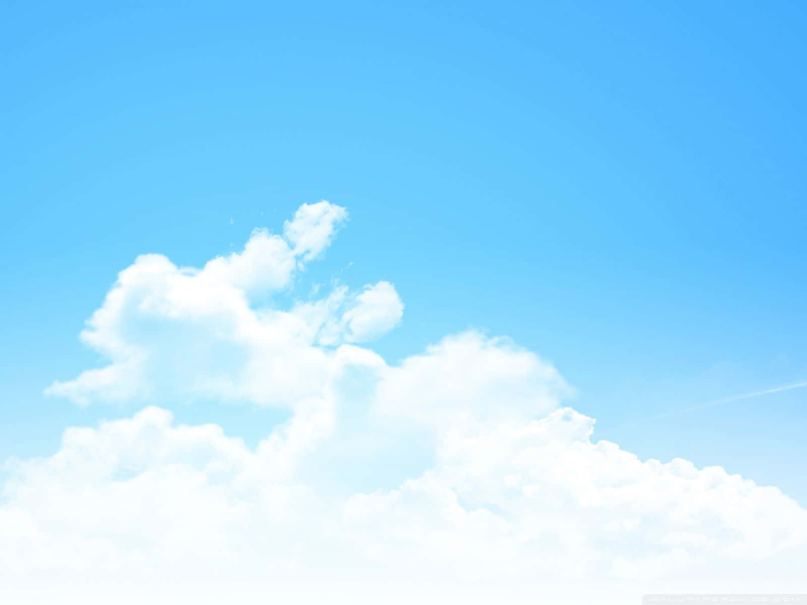 blue sky, clouds, plane, HD Desktop Wallpaper