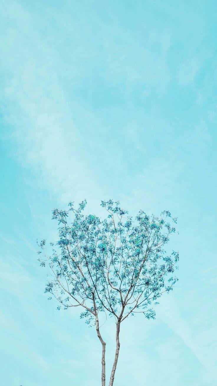 blue sky aesthetic, blue-green leaves, soft cyan sky, HD Phone Wallpaper