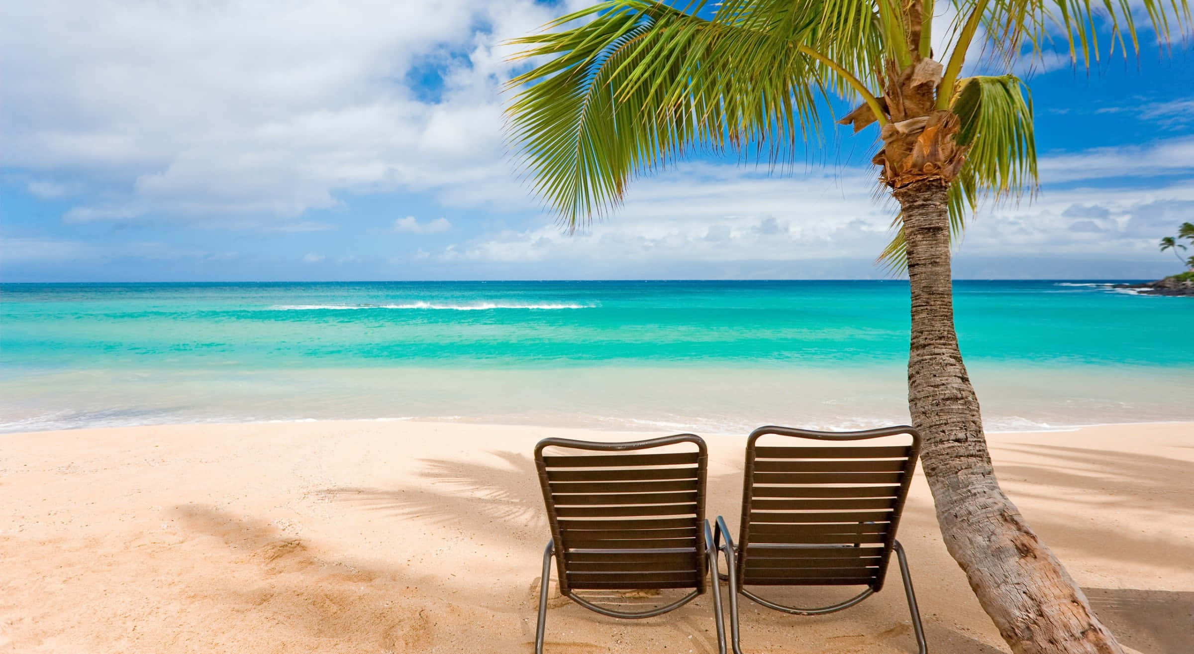 palm tree, pristine sandy beach, turquoise ocean waves, Full HD Desktop Wallpaper