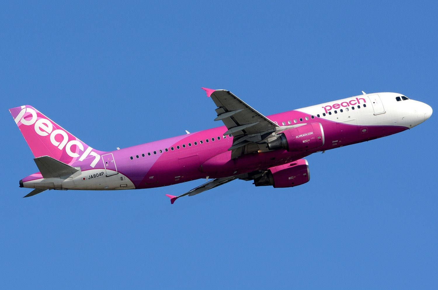 flying peach aviation, peach airlines, vibrant pink, HD Desktop Wallpaper