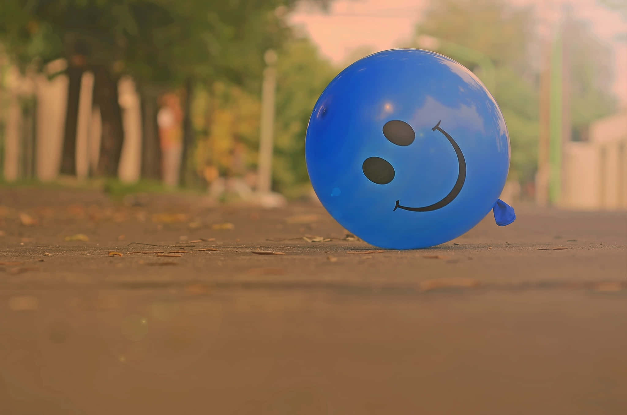 Blue Smiley Balloonon Pathway, bright blue balloon, smiley face, Full HD Desktop Wallpaper