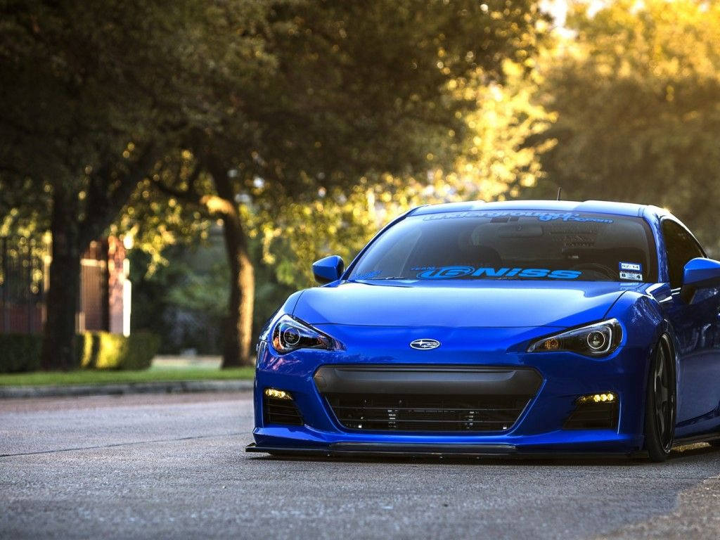 blue sports car, sidewalk, tree-lined street, SD Desktop Wallpaper