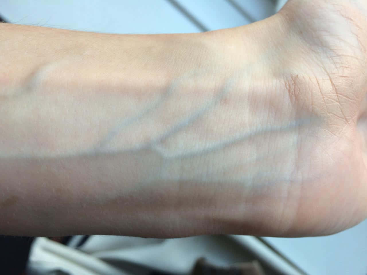 Blue Veins, 1280 x 960, human forearm, HD Desktop Wallpaper