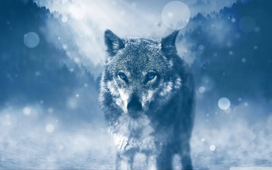Blue Wolf