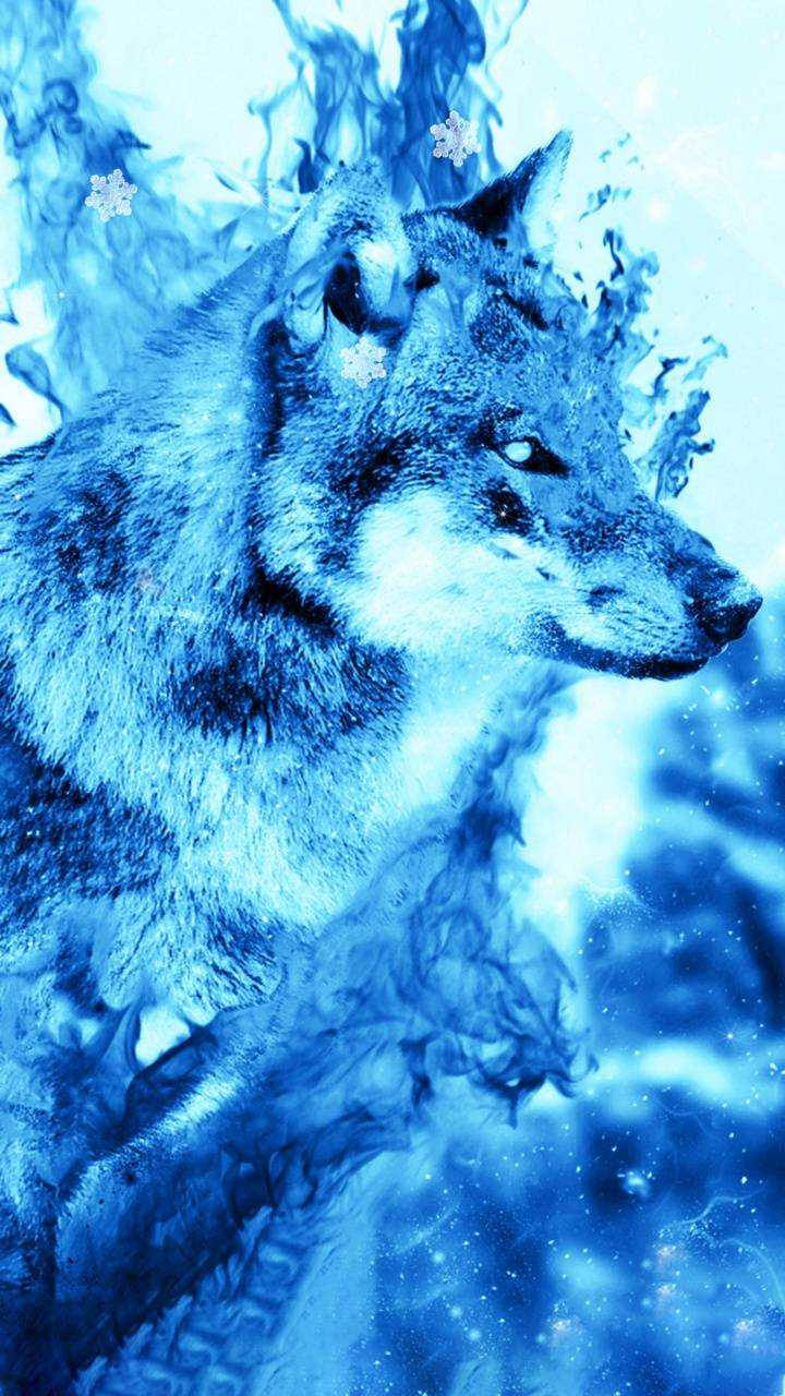 Blue Wolf, icy blue tones, snowflakes, HD Phone Wallpaper