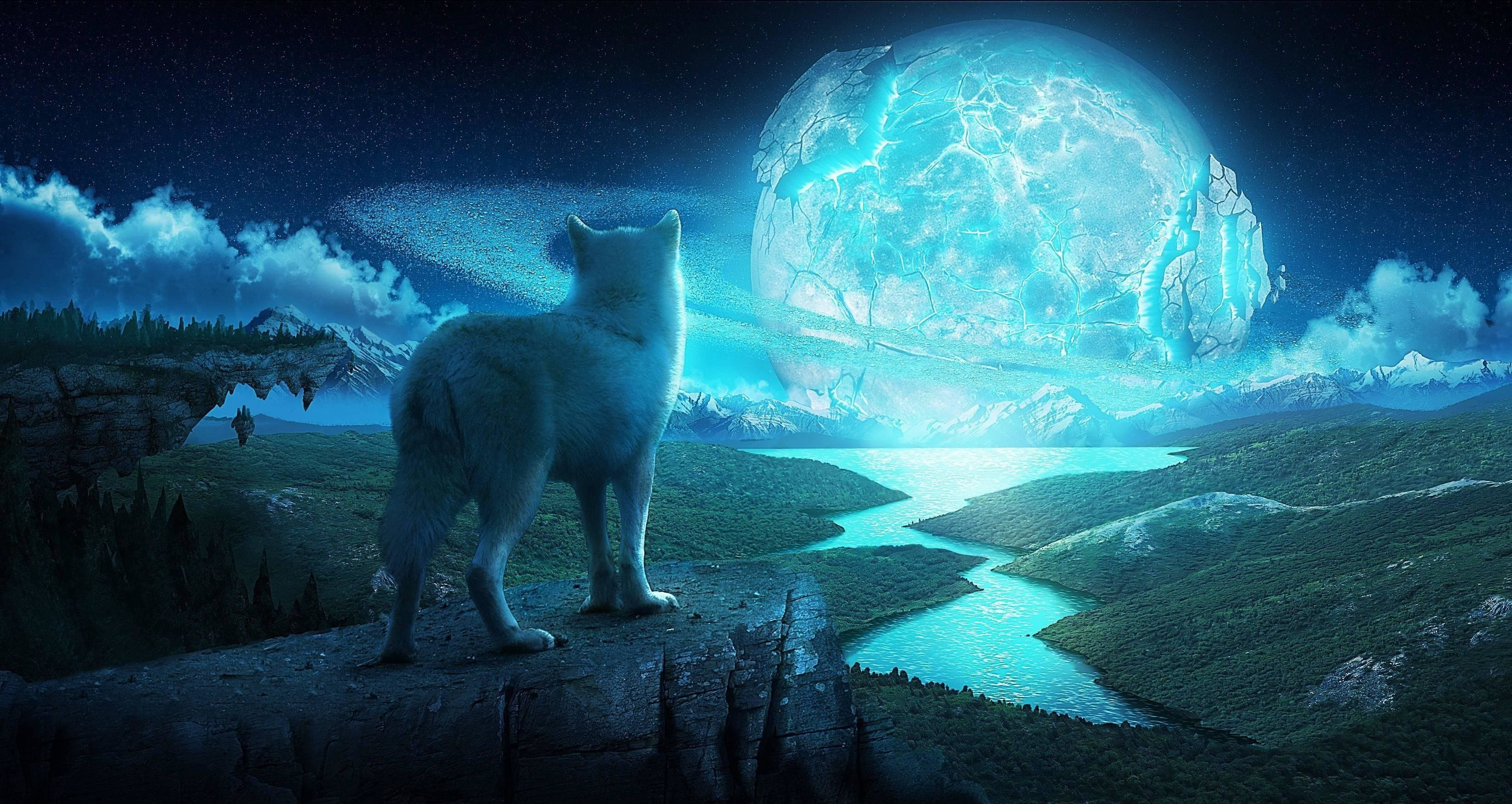 Blue Wolf, vast field, glowing blue river, 2K Desktop Wallpaper