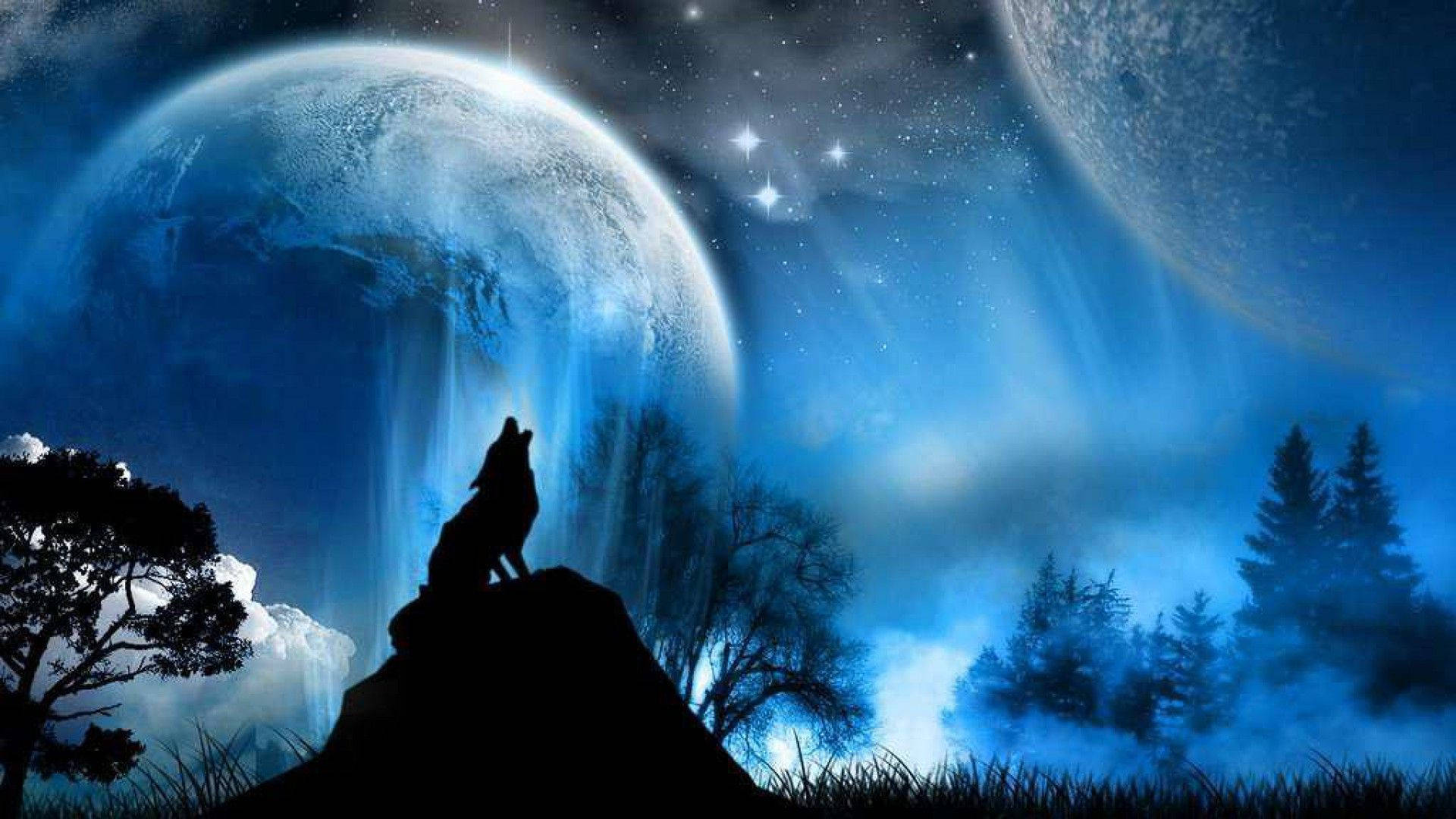 Blue Wolf, howling blue wolf, rocky peak, Full HD Desktop Wallpaper