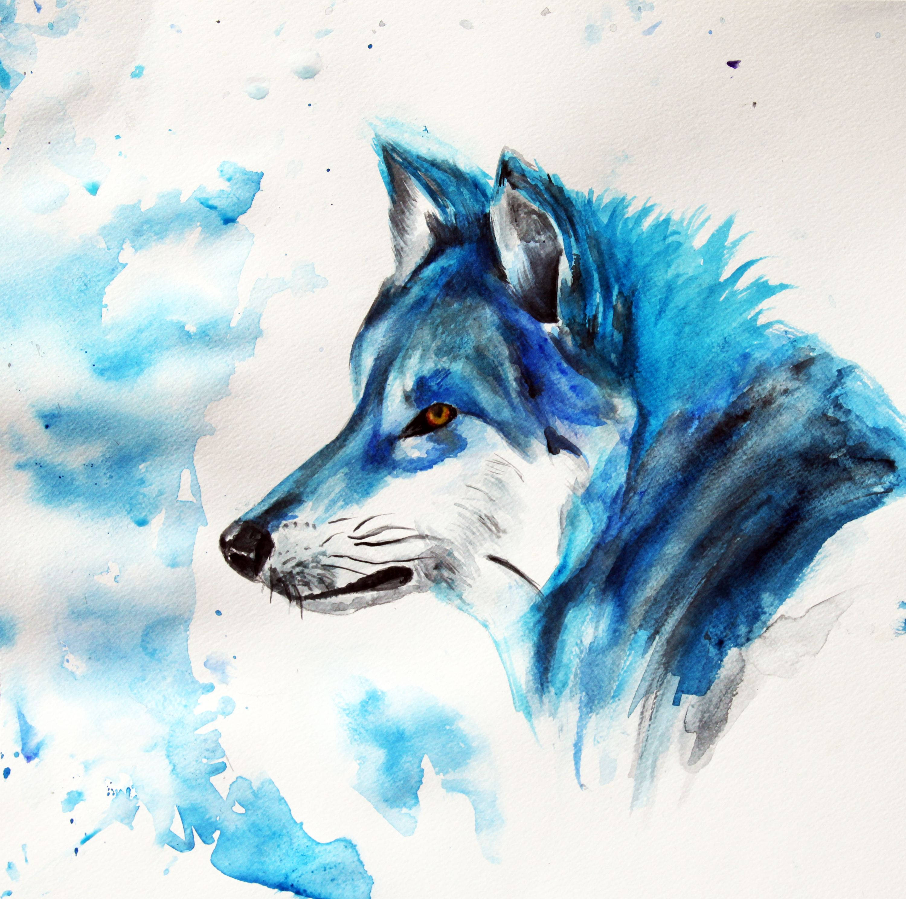 Blue Wolf, watercolor portrait, amber eyes, 2K Desktop Wallpaper