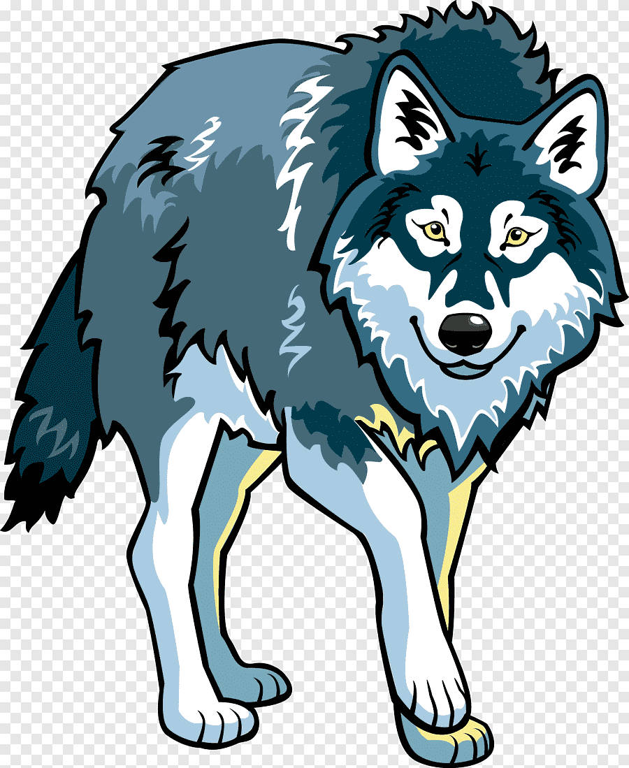 Blue Wolf, blue gray fur, yellow eyes, SD Phone Wallpaper