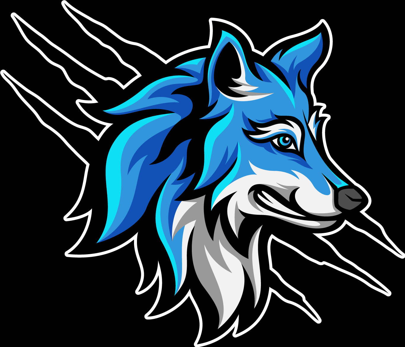 Blue Wolf, vector art, white outlines, HD Desktop Wallpaper