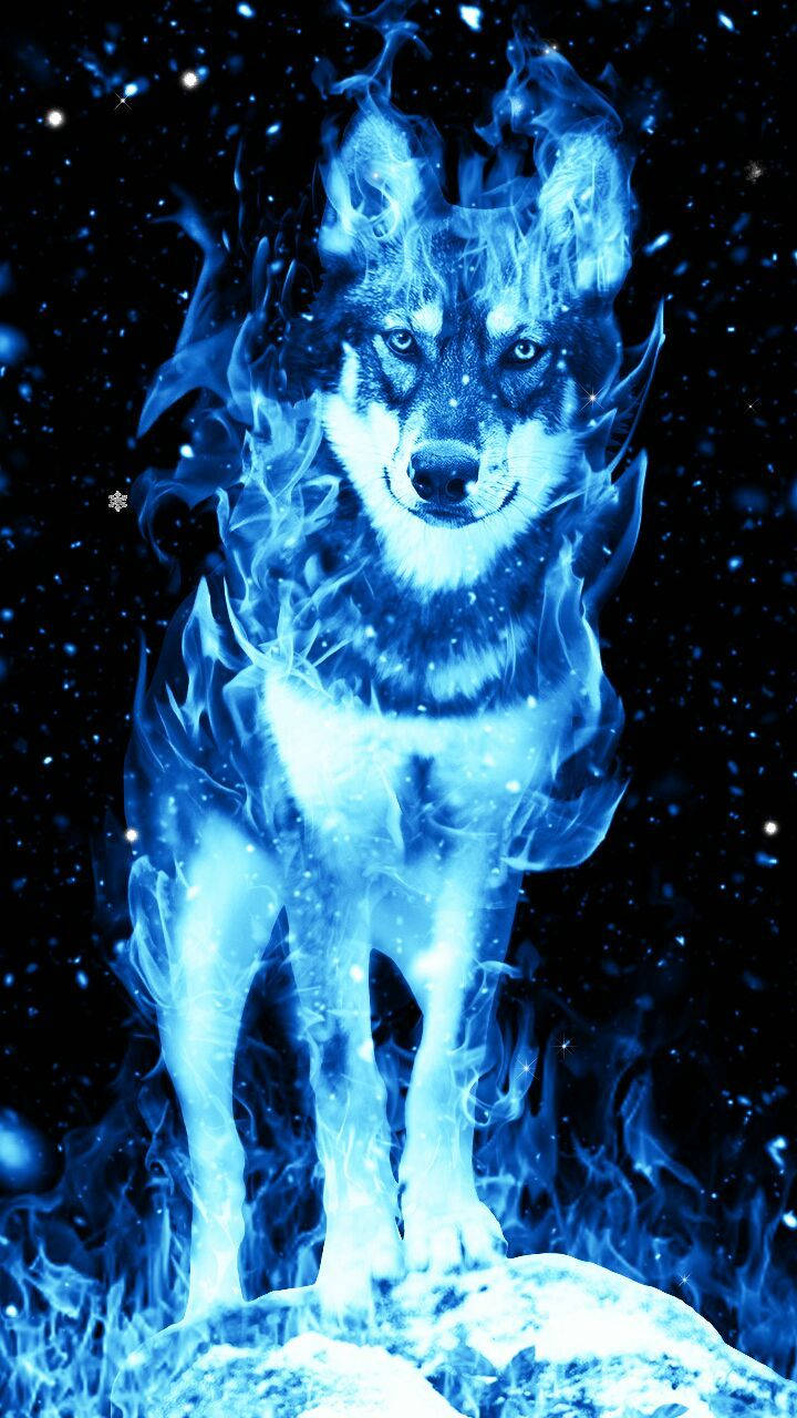 Blue Wolf, blue flames, snowy peak, HD Phone Wallpaper