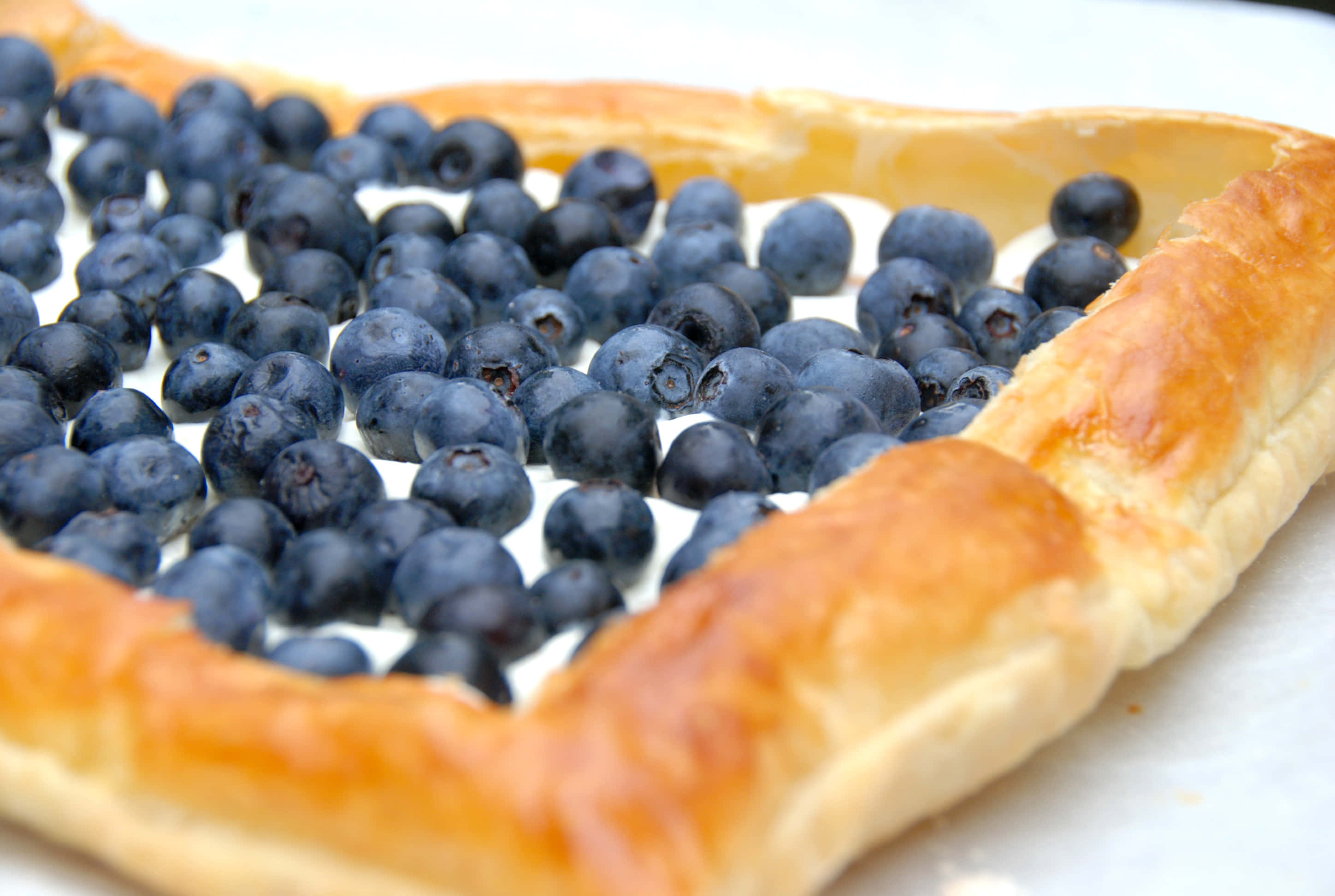blueberries tart, golden-brown pastry tart, plump blueberries, 2K Desktop Wallpaper