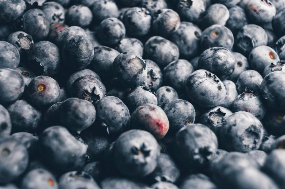 blueberries, dusty white bloom, subtle red blushes, SD Desktop Wallpaper