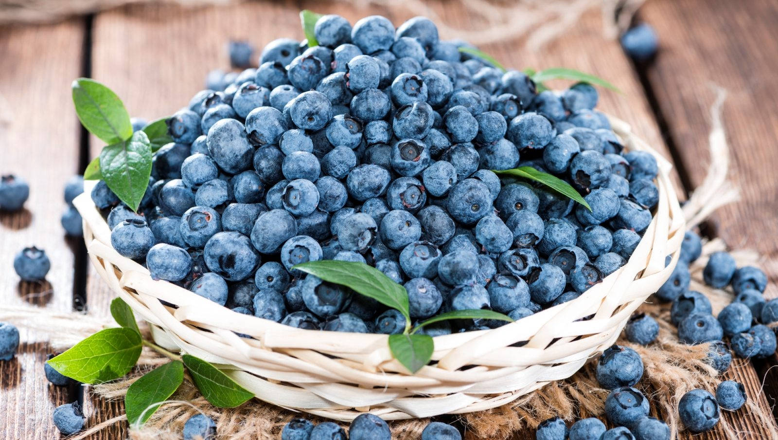 wicker basket, blueberries, fresh green leaves, HD Desktop Wallpaper
