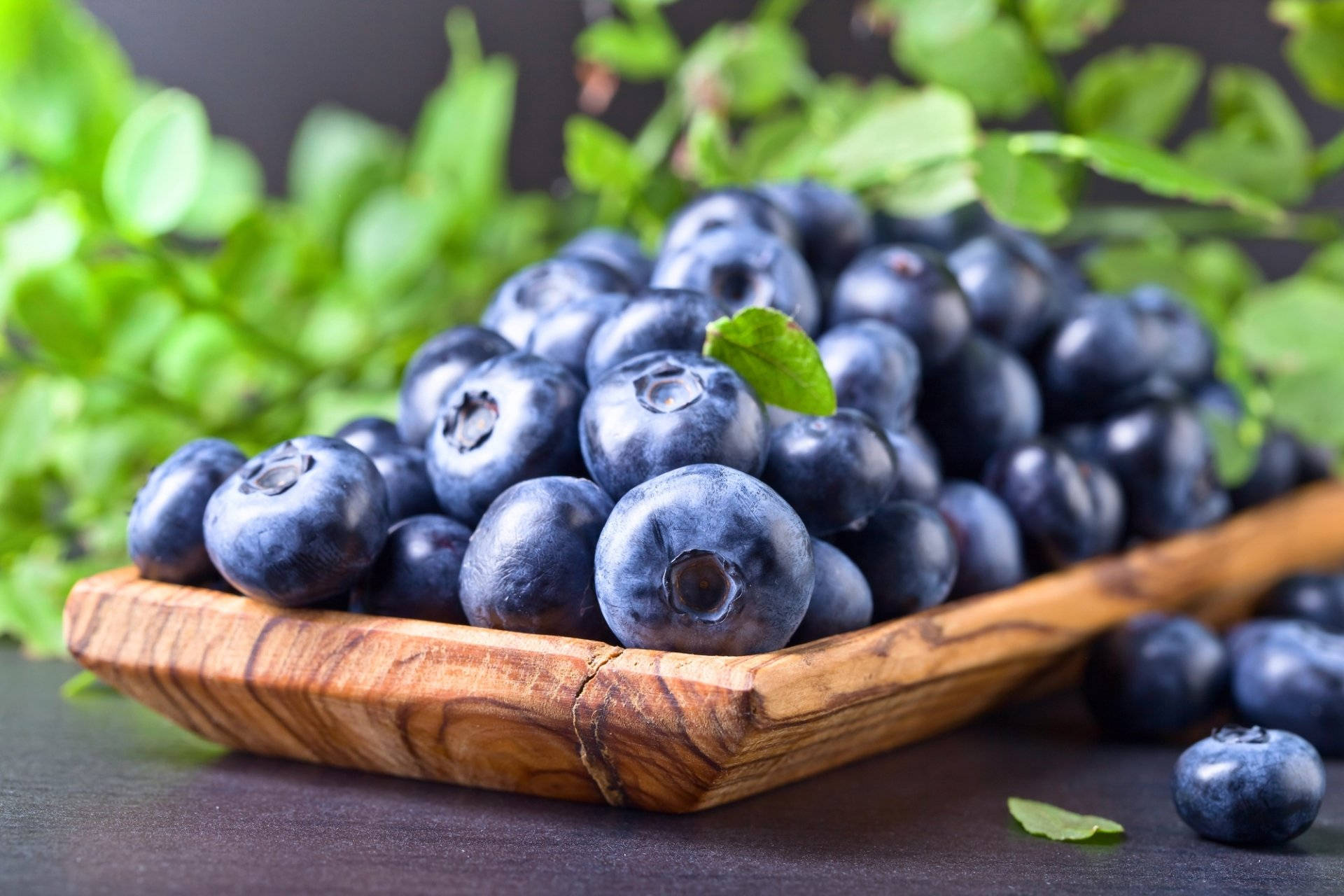 blueberries, wooden bowl, fresh green leaves, Full HD Desktop Wallpaper