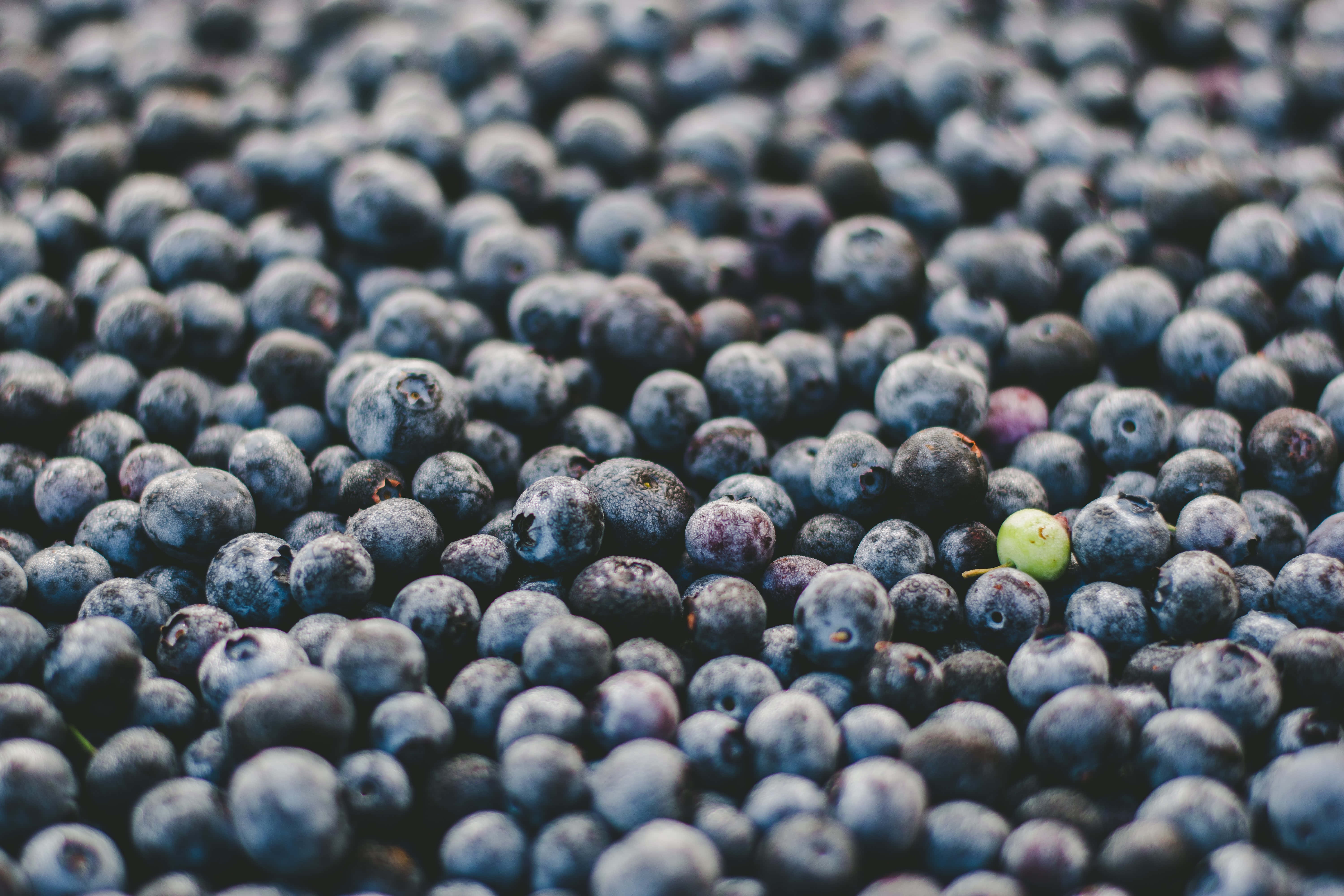blueberries, green berry, close-up, 5K Desktop Wallpaper