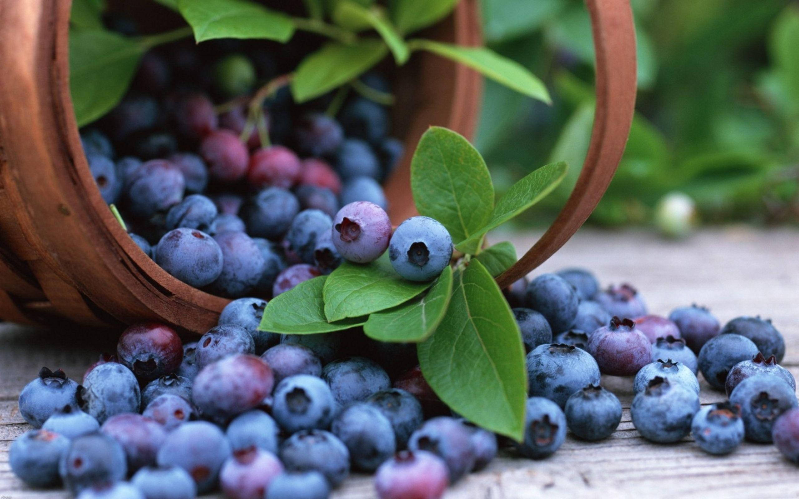 basket of fresh blueberries, rustic woven basket, weathered wooden surface, 2K Desktop Wallpaper