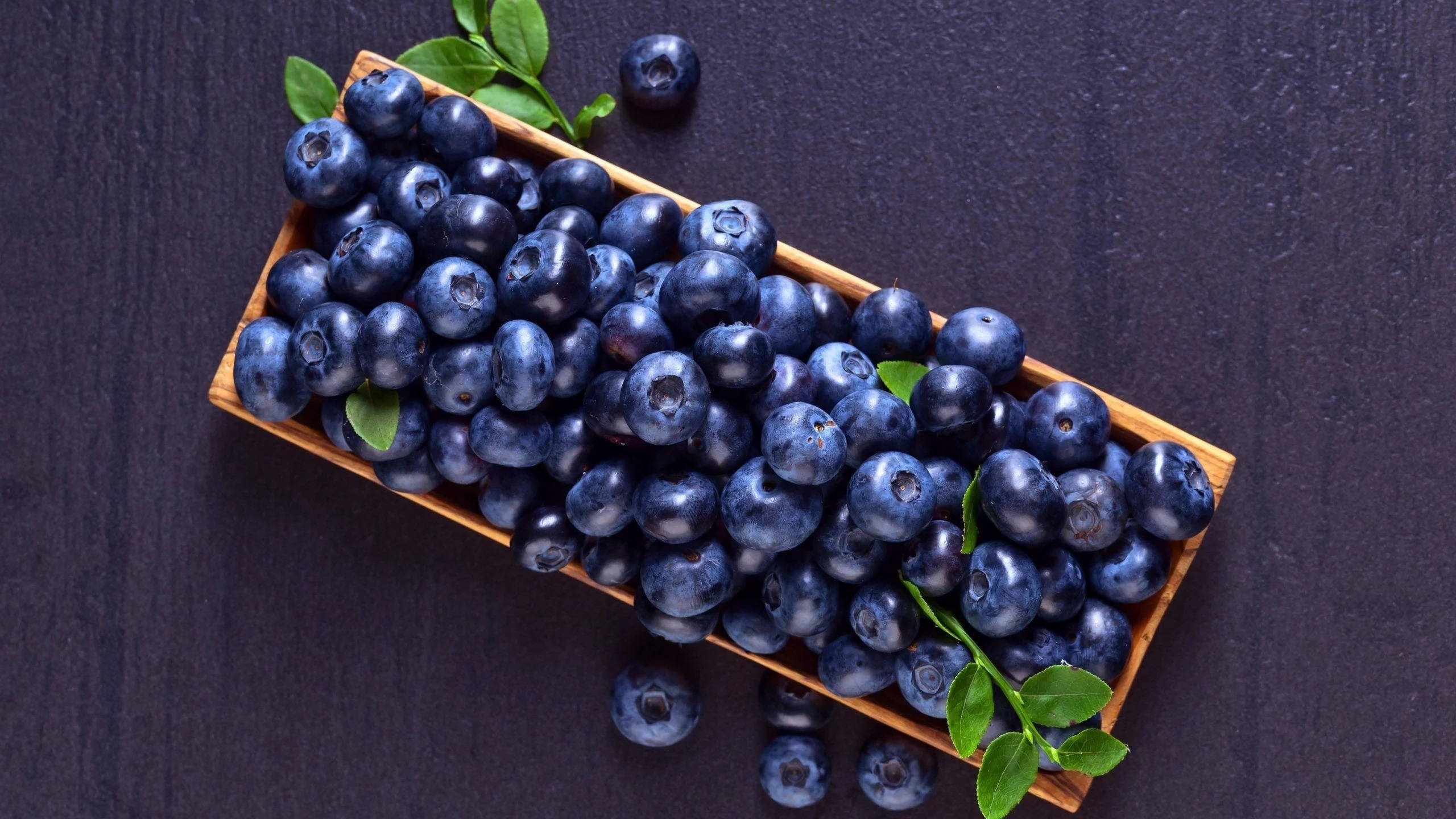 wooden tray, blueberries, fresh green leaves, 2K Desktop Wallpaper