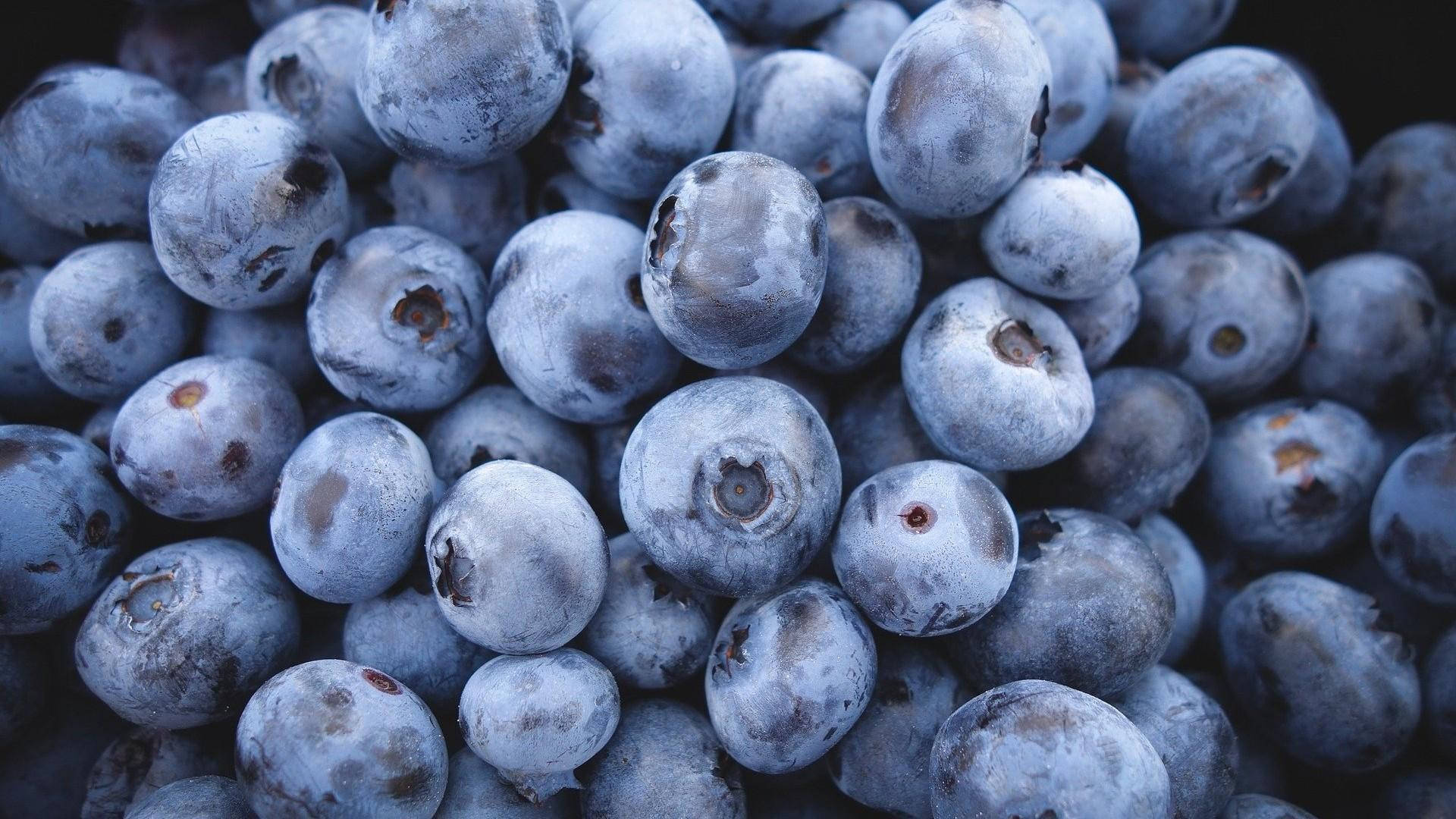 freshly picked frozen blueberries, blueberries, white powdery bloom, Full HD Desktop Wallpaper