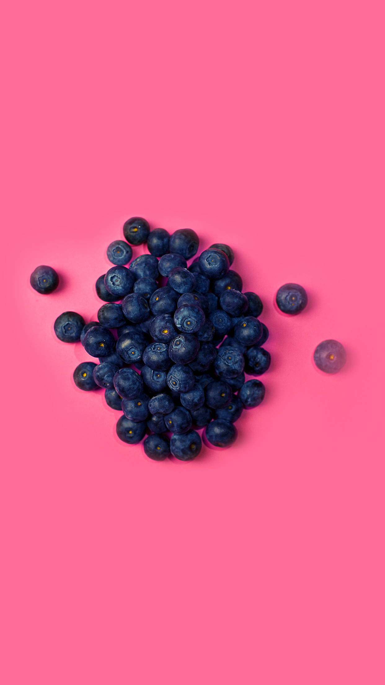 hot pink, blueberries, bold pink background, Full HD Phone Wallpaper