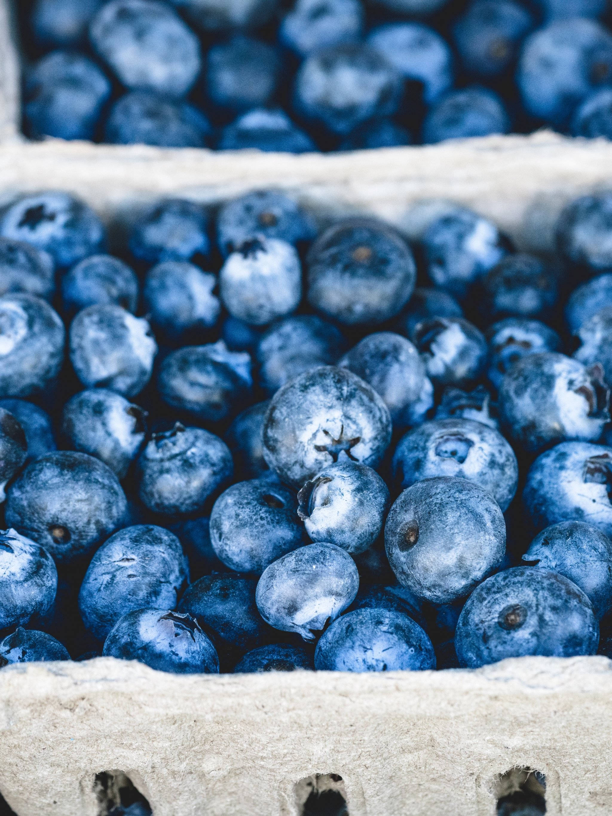 fresh blueberries, cardboard container, soft focus background, 2K Phone Wallpaper
