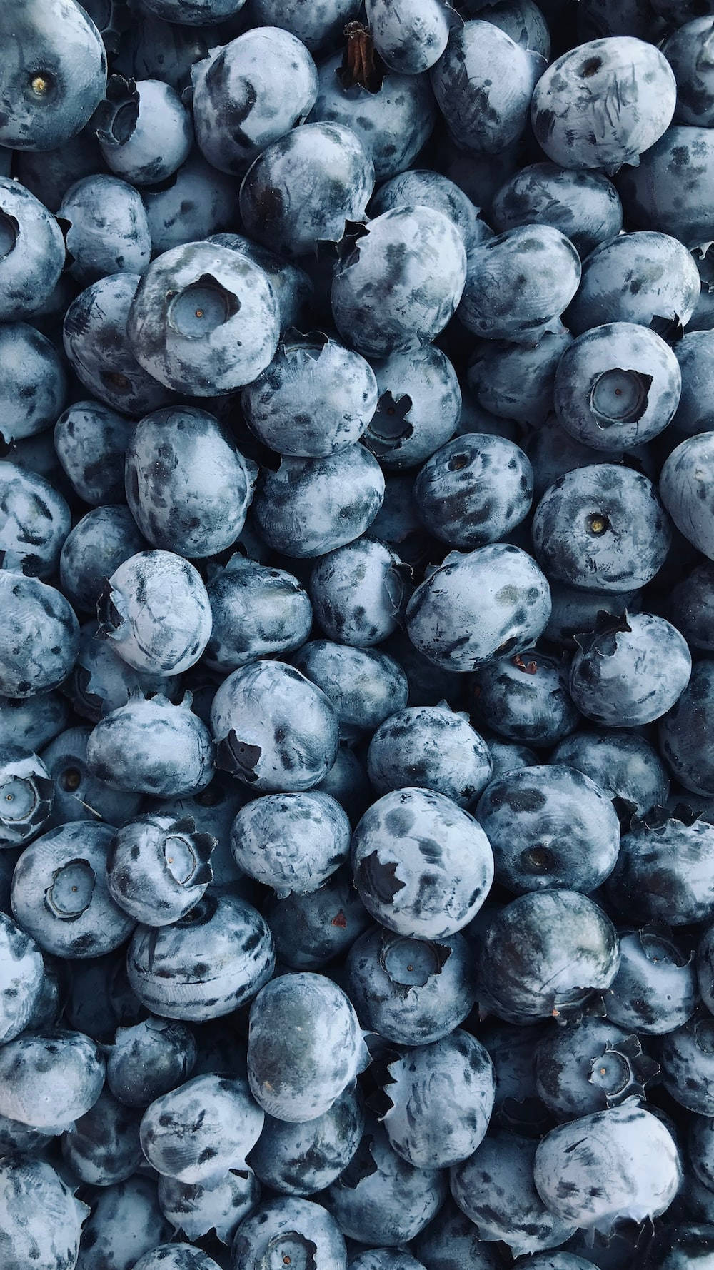 fresh blueberries, dusty white bloom, tiny stems, HD Phone Wallpaper