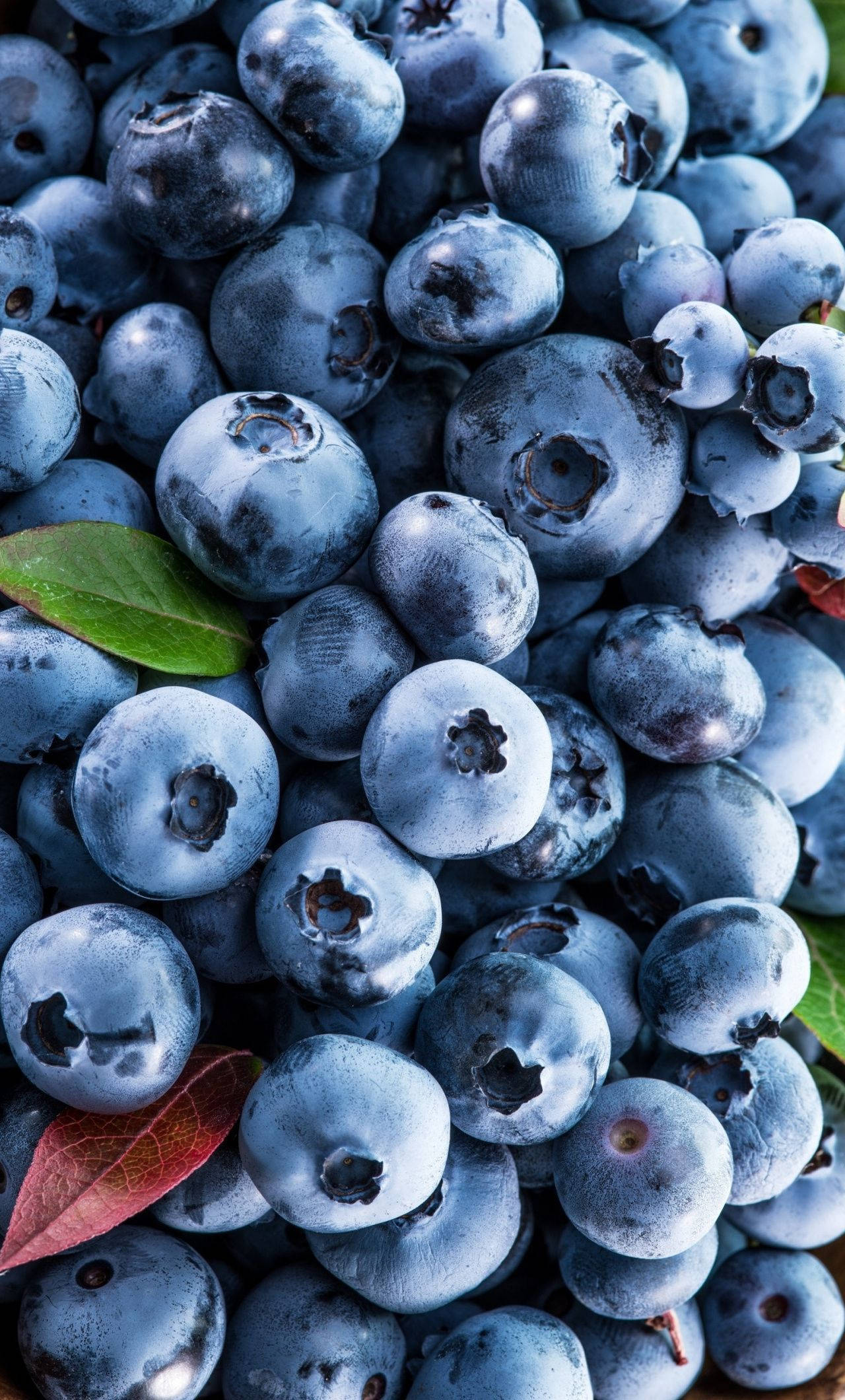 blueberries, dusty blue skins, green leaves, Full HD Phone Wallpaper