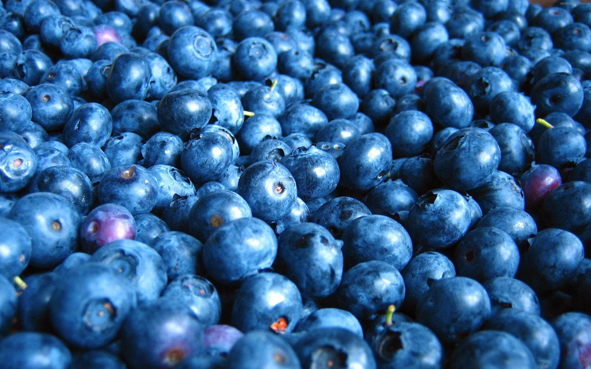 blueberries, dewy sheen, subtle purple undertones, Full HD Desktop Wallpaper