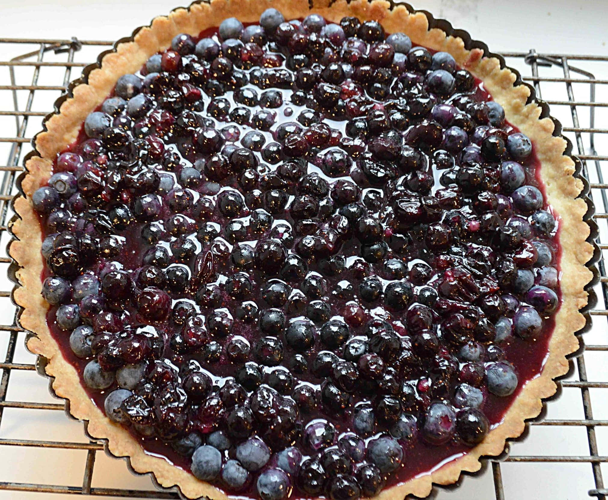 blueberry tart, glistening berries, golden crust, Full HD Desktop Wallpaper
