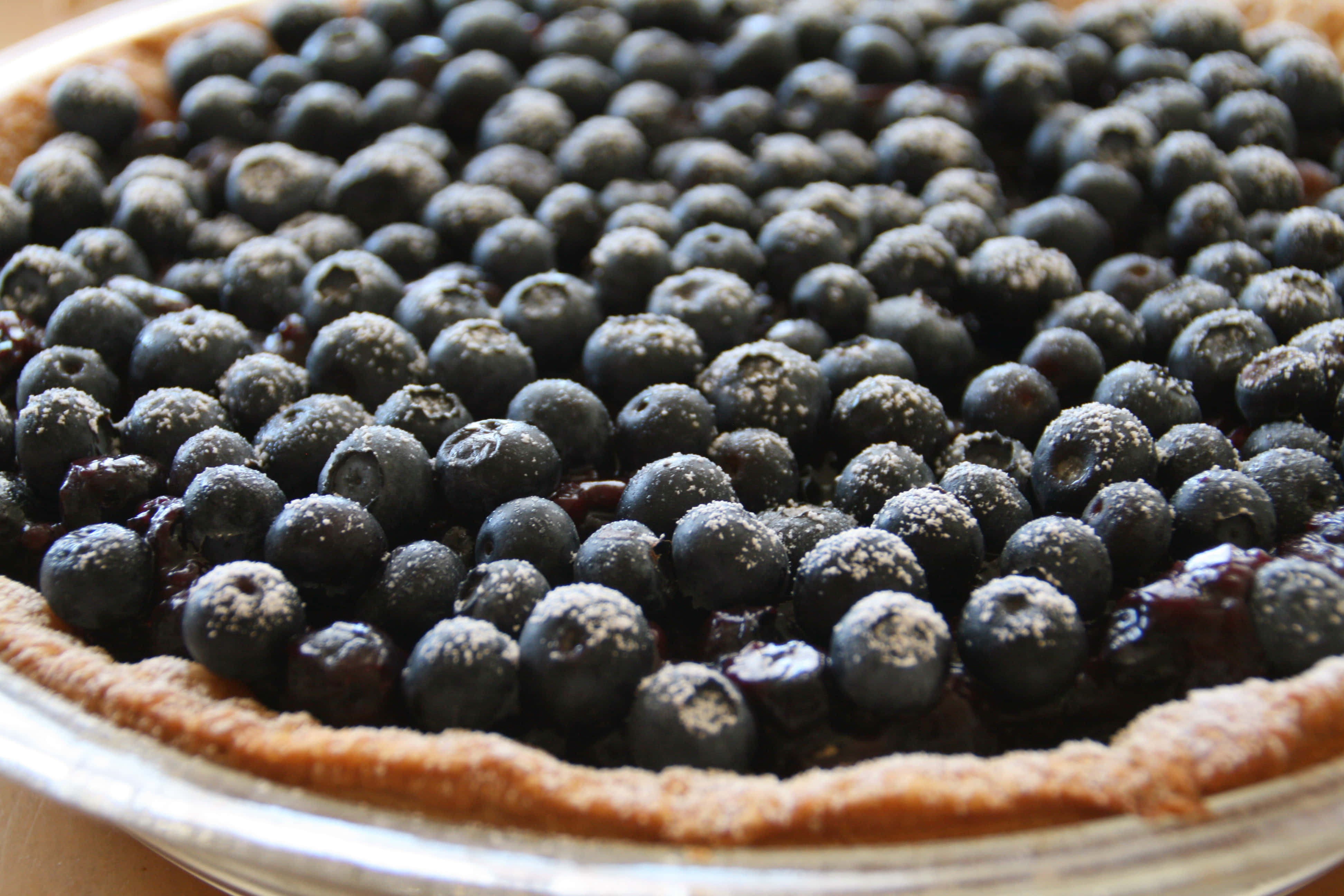 blueberry pie, fresh blueberries, powdered sugar, 4K Desktop Wallpaper