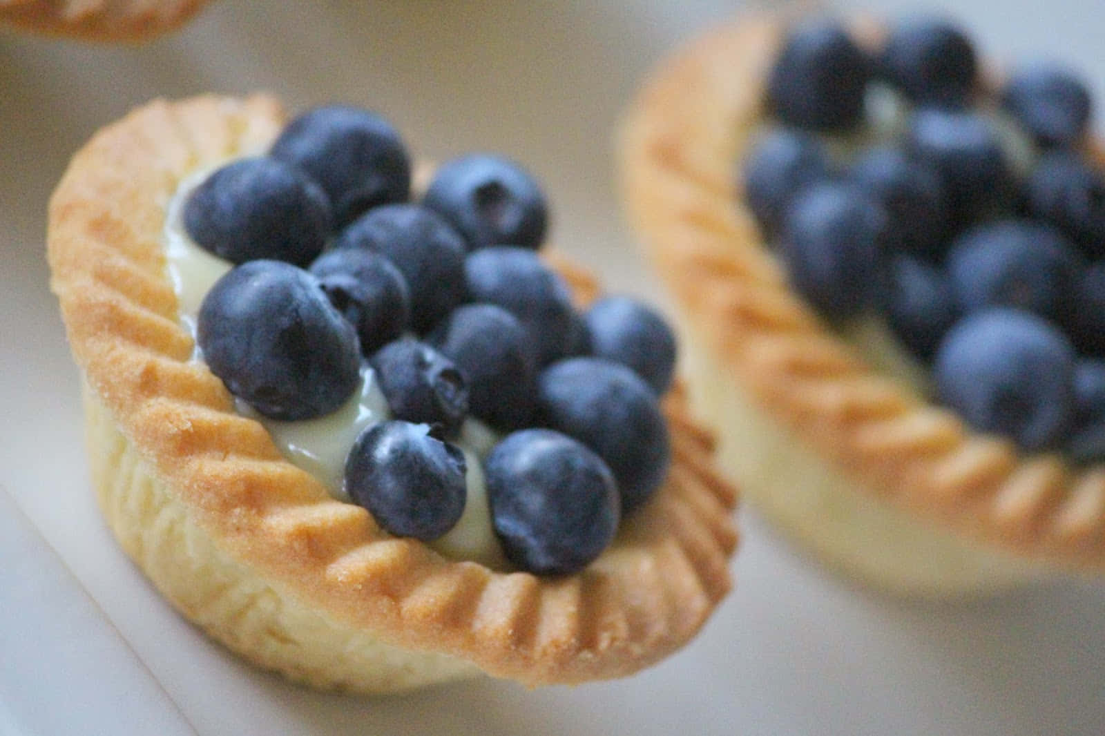 blueberry tart, golden-brown tartlets, creamy white filling, HD Desktop Wallpaper