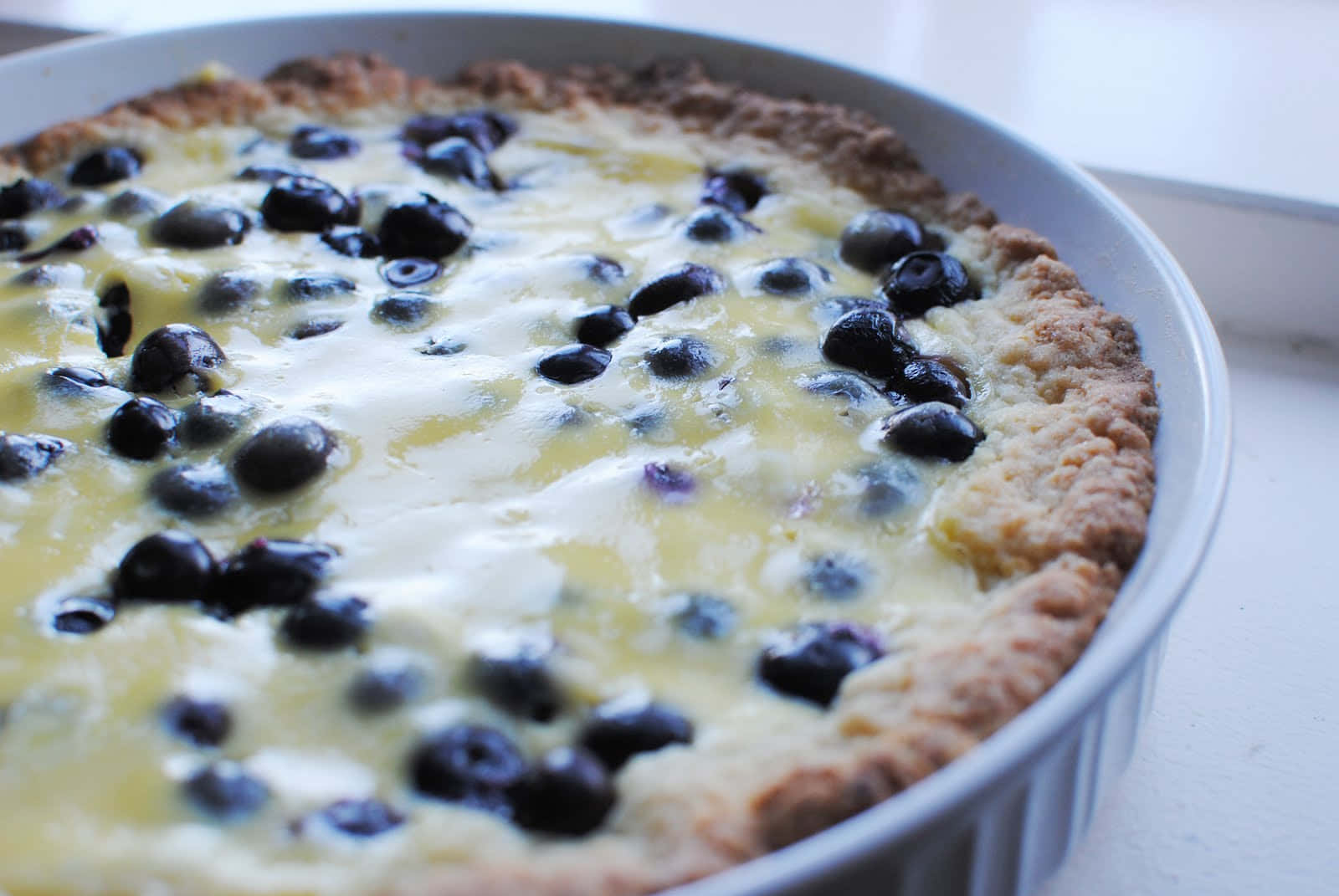 blueberry tart, golden crust, glistening berries, HD Desktop Wallpaper