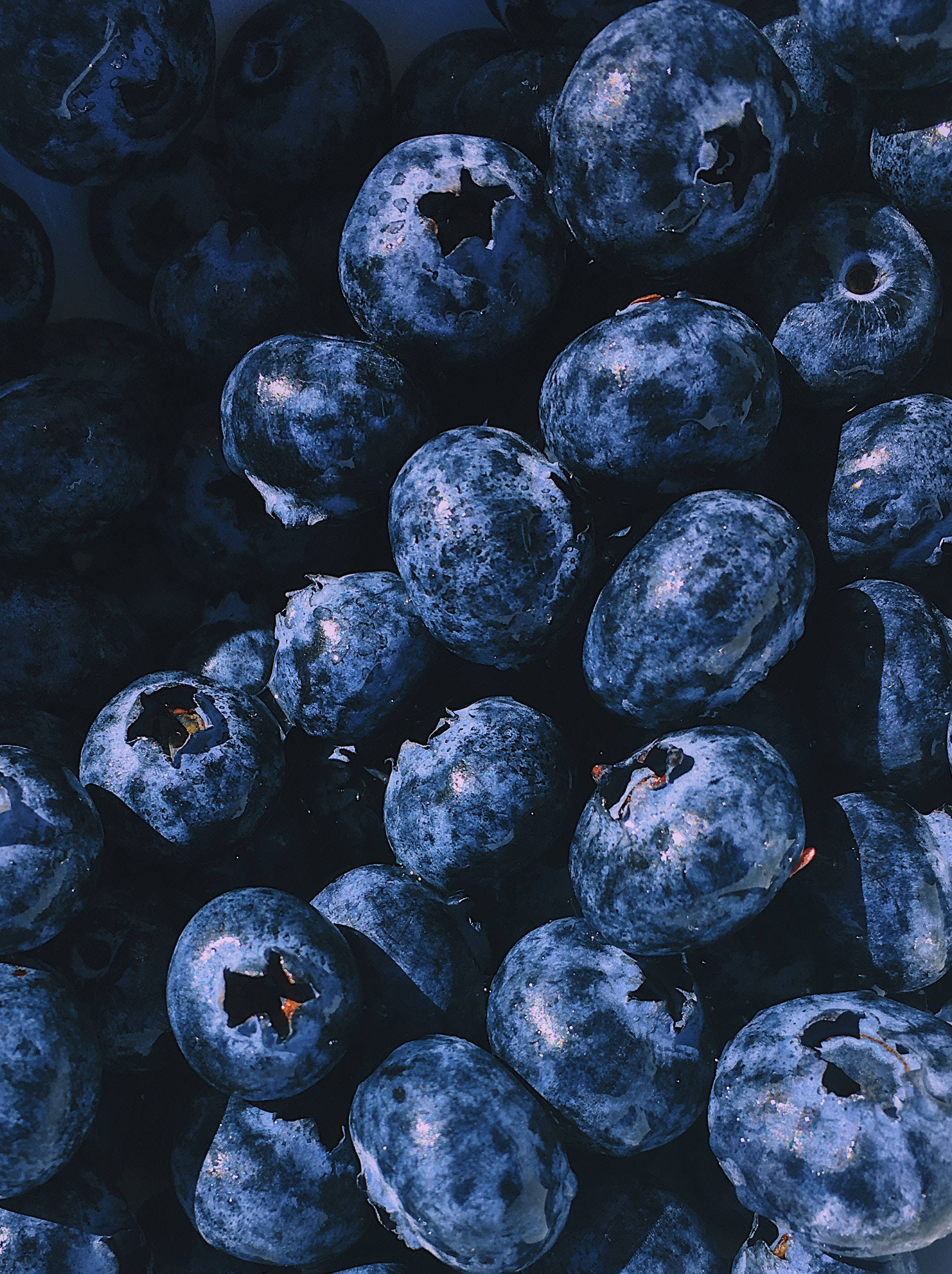 blueberries, dusty blue skins, star-shaped calyxes, 2K Phone Wallpaper