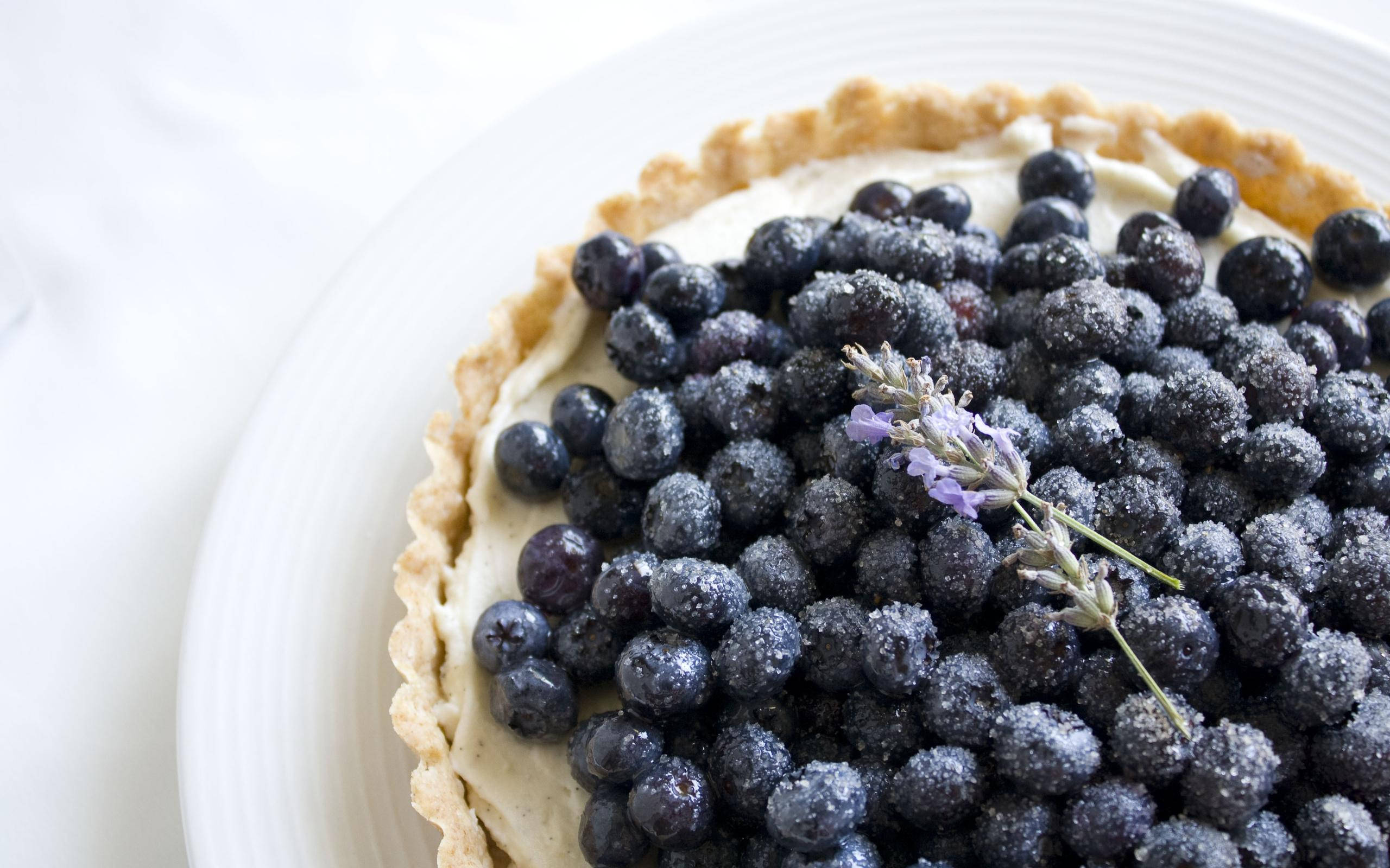 blueberry tart, sugar-dusted berries, sprig of lavender, 2K Desktop Wallpaper