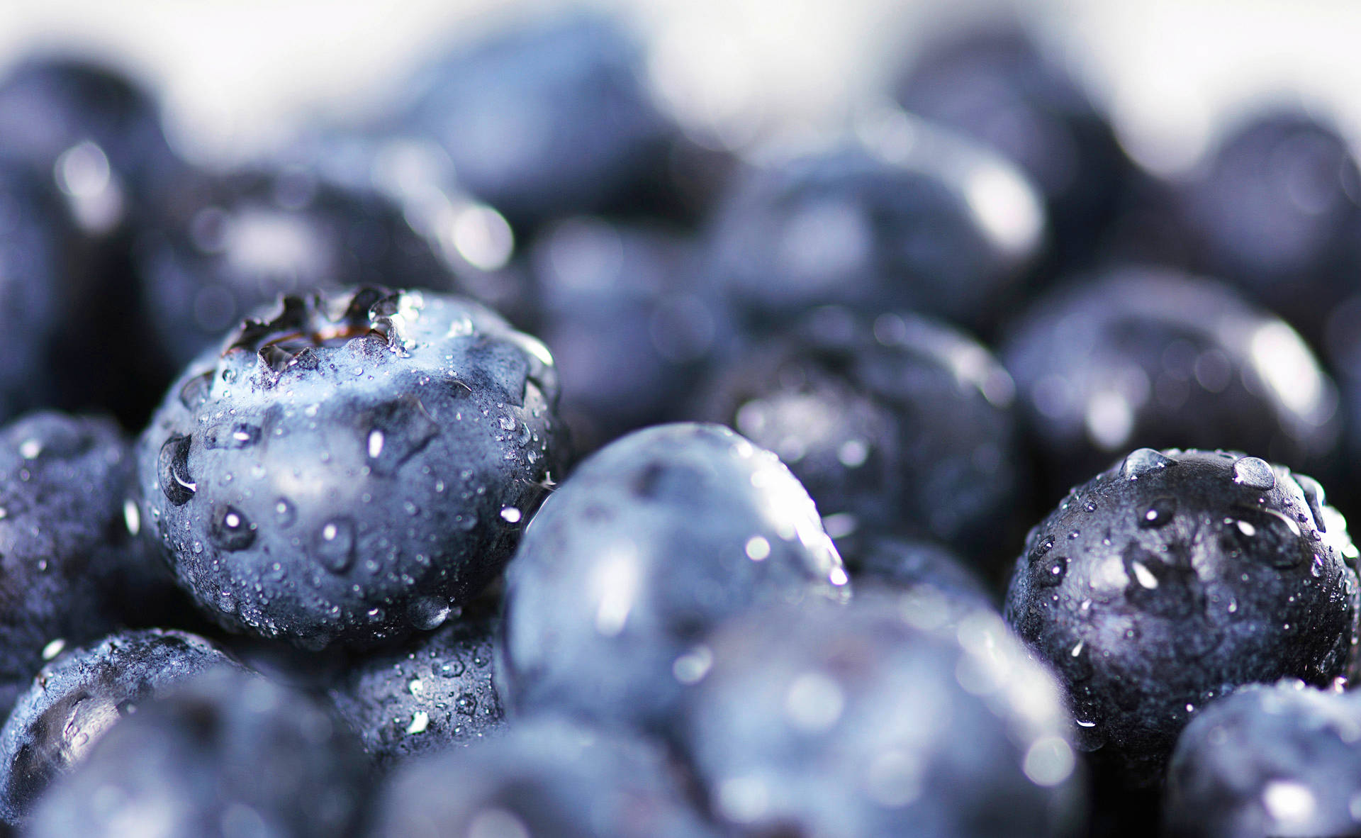 Blueberry, waterdrops, dewdrops, Full HD Desktop Wallpaper