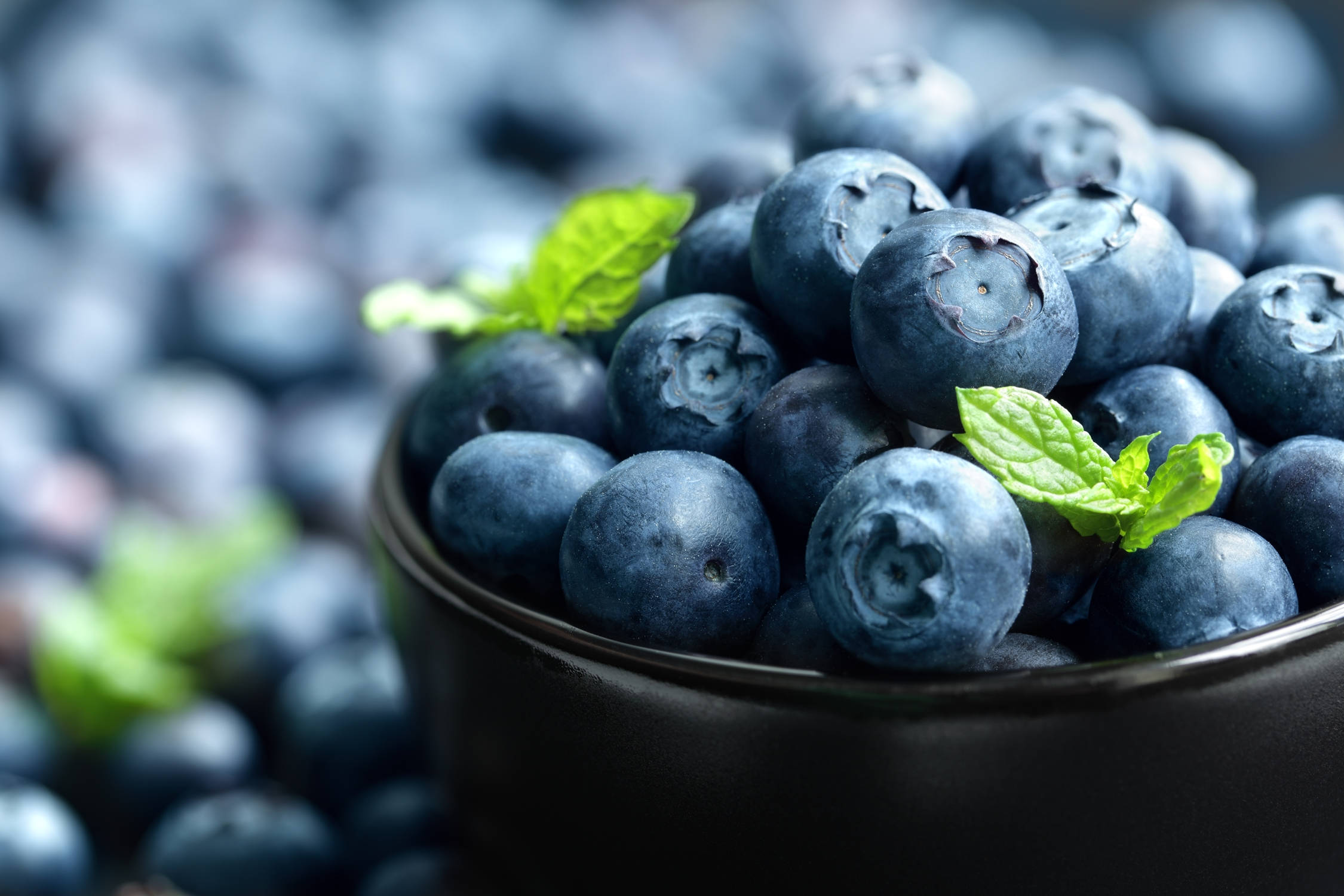 bowl, blueberries, mint leaves, Full HD Desktop Wallpaper
