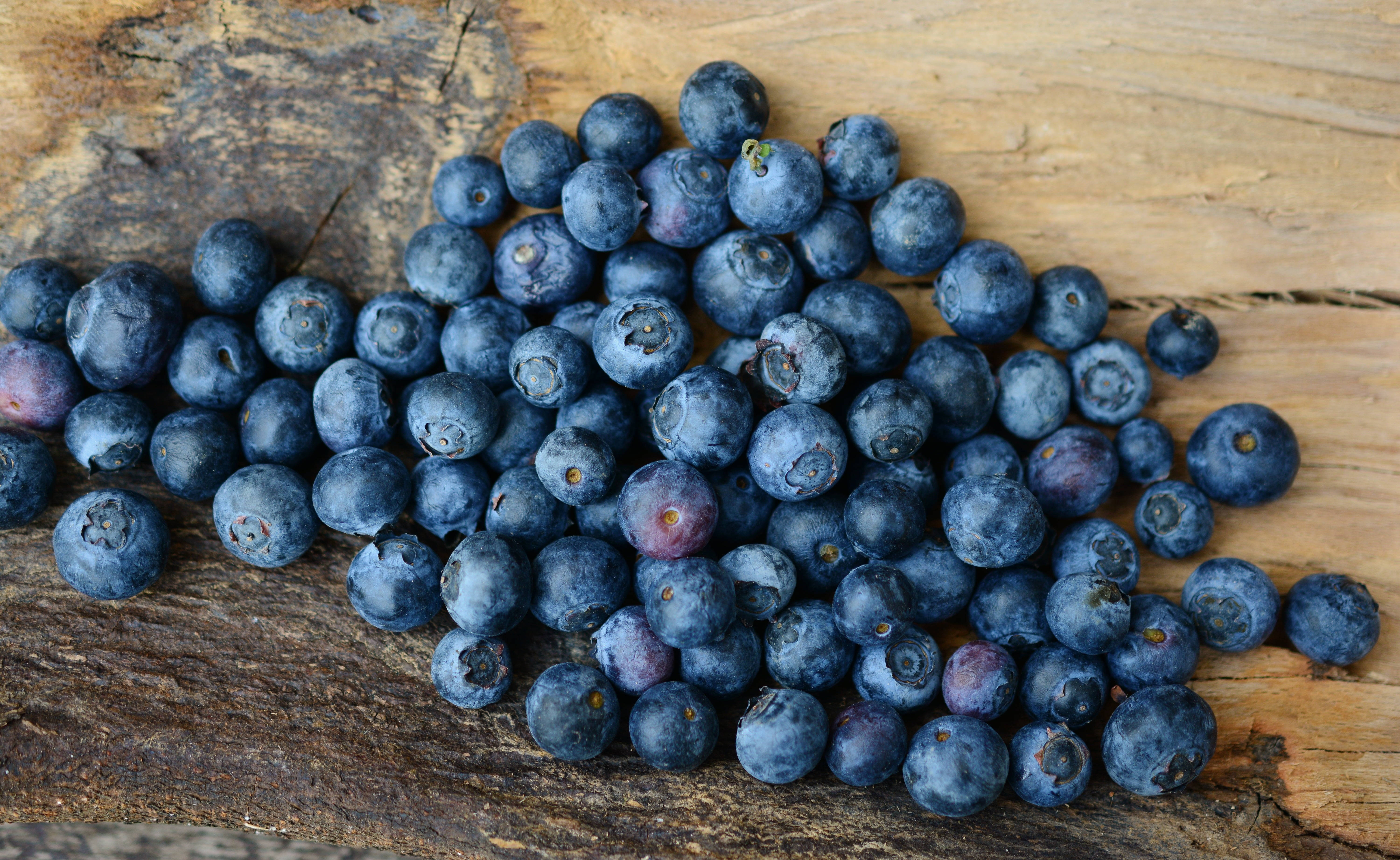 ripe huckleberry fruits, blueberries, dusty blue skins, 5K Desktop Wallpaper