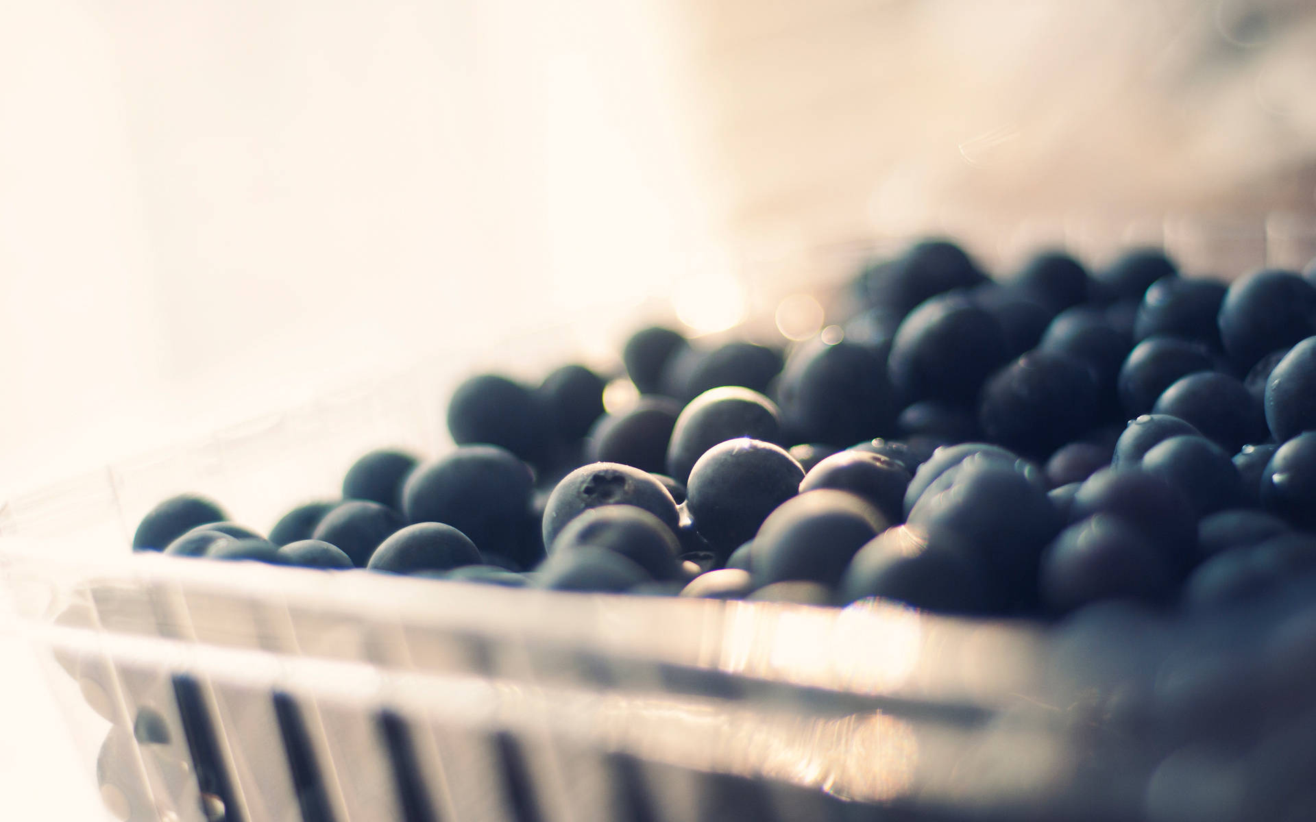 blueberries, clear plastic container, soft golden backlighting, Full HD Desktop Wallpaper