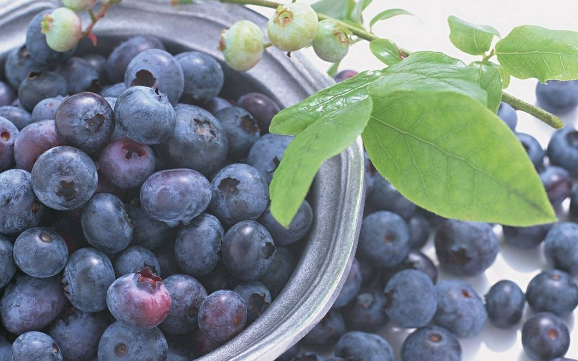 bowl of blueberries, metal bowl, plump blueberries, Full HD Desktop Wallpaper