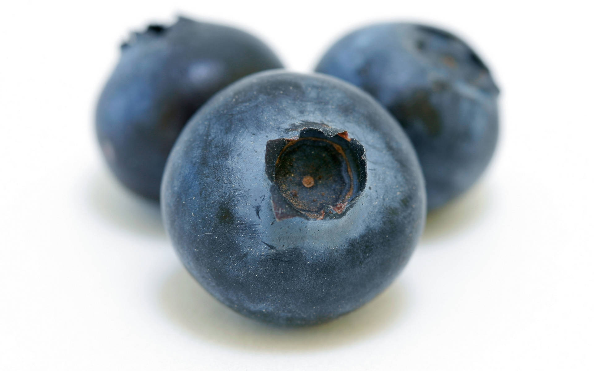 blueberries, dusty blue skins, star-shaped calyxes, Full HD Desktop Wallpaper