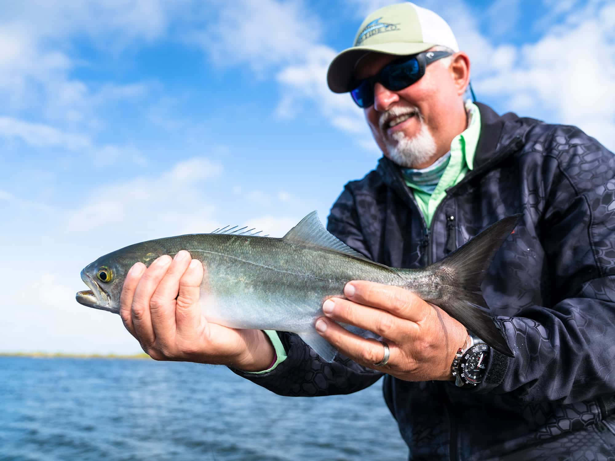 Bluefish, silvery fish, bright blue sky, Full HD Desktop Wallpaper