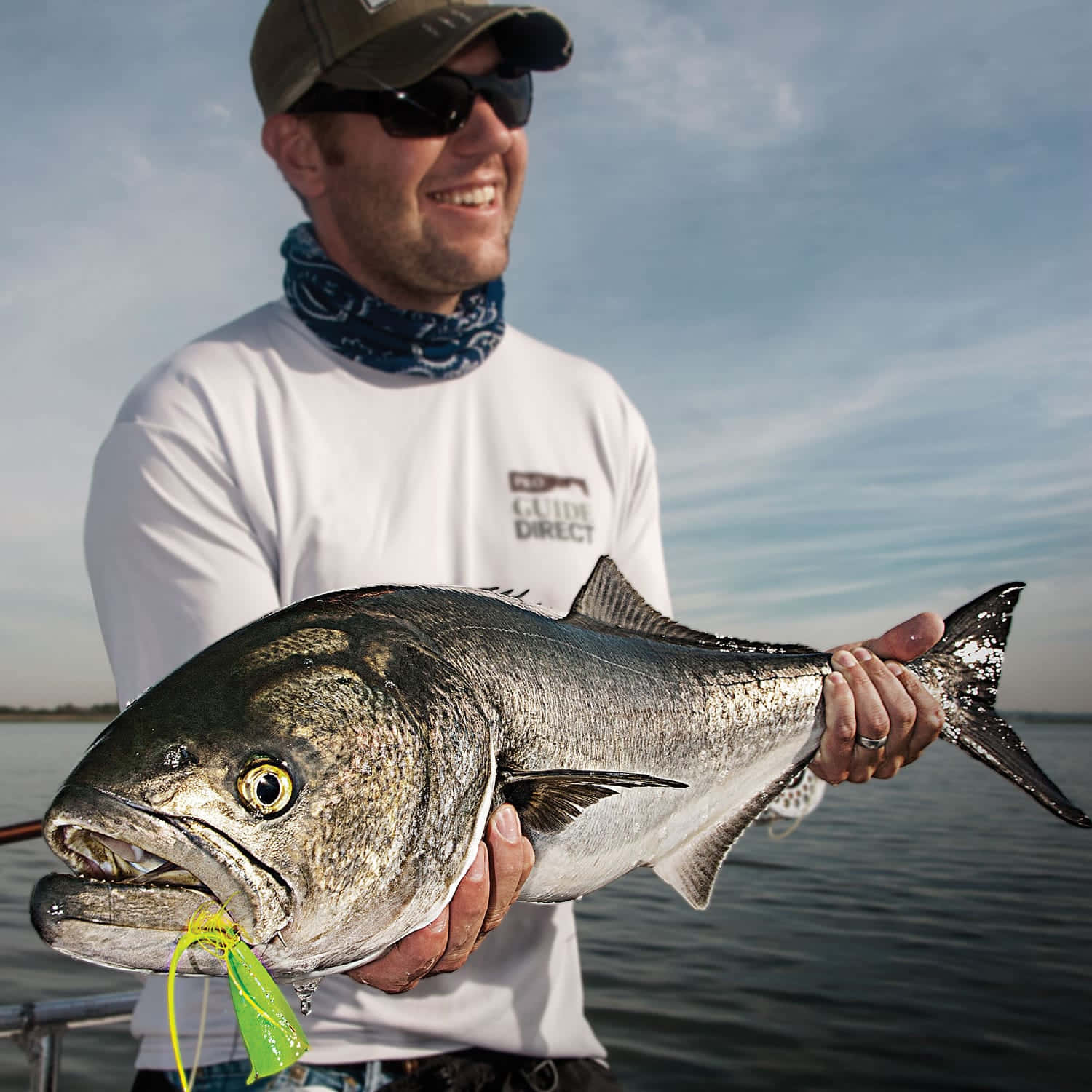 angler, bluefish, silver fish, HD Desktop Wallpaper