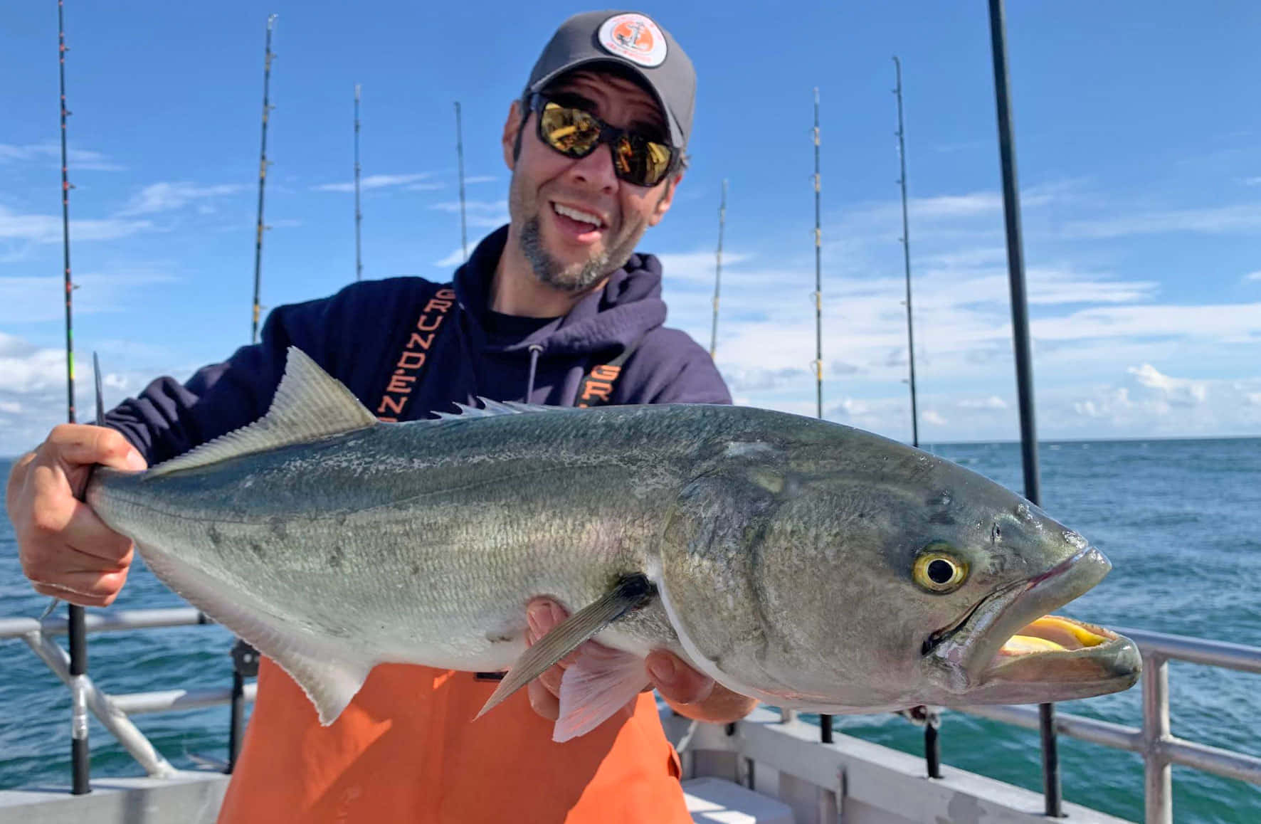 Bluefish, silver fish, blue sky, HD Desktop Wallpaper