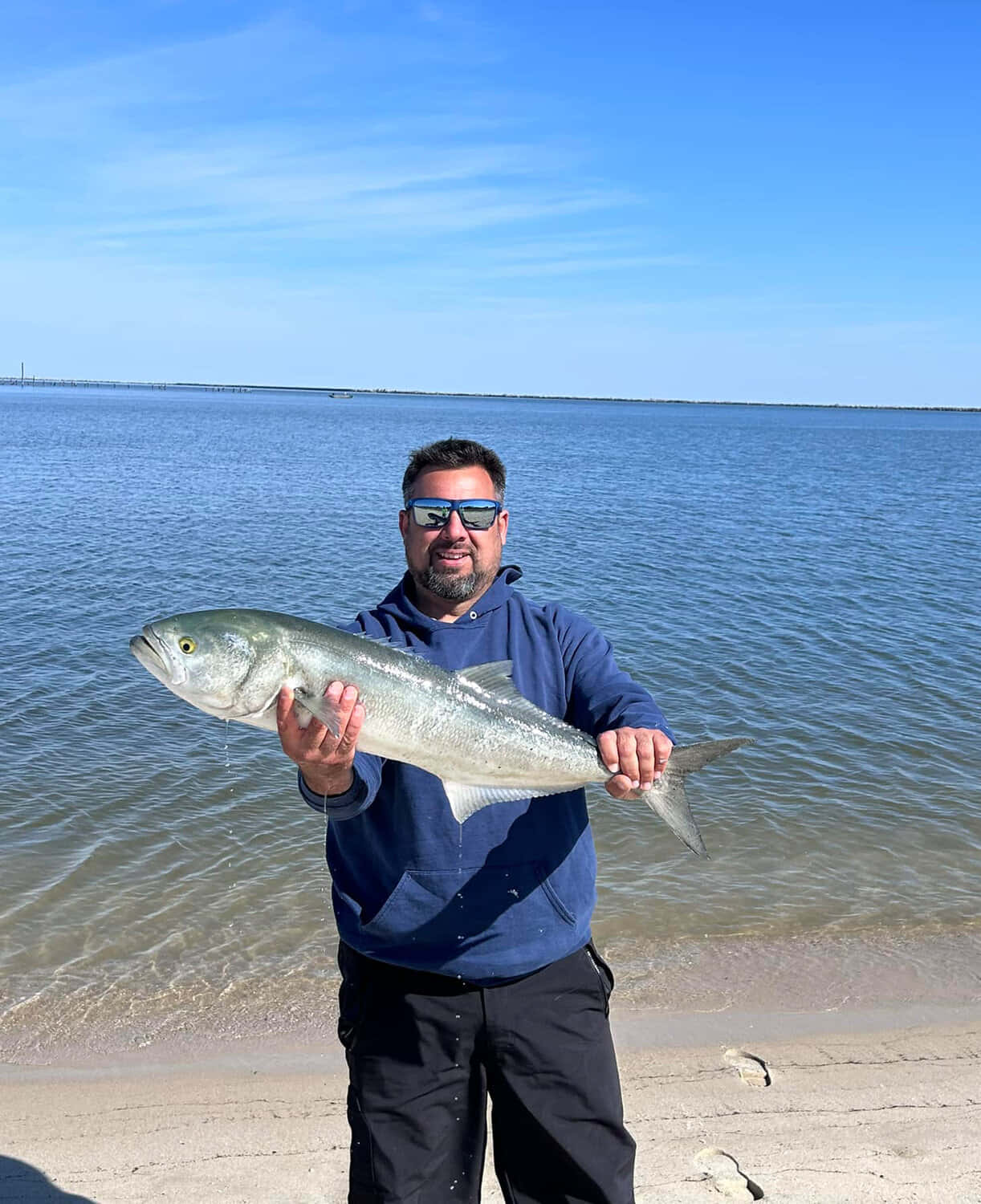 Bluefish, silver fish, blue hoodie, HD Phone Wallpaper