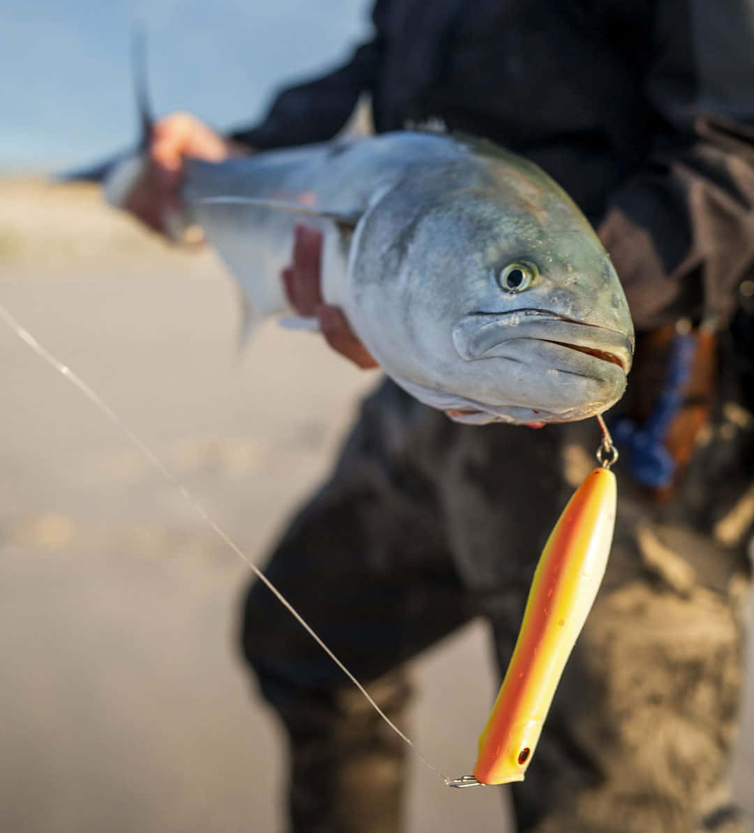 angler, bluefish, lure, SD Phone Wallpaper