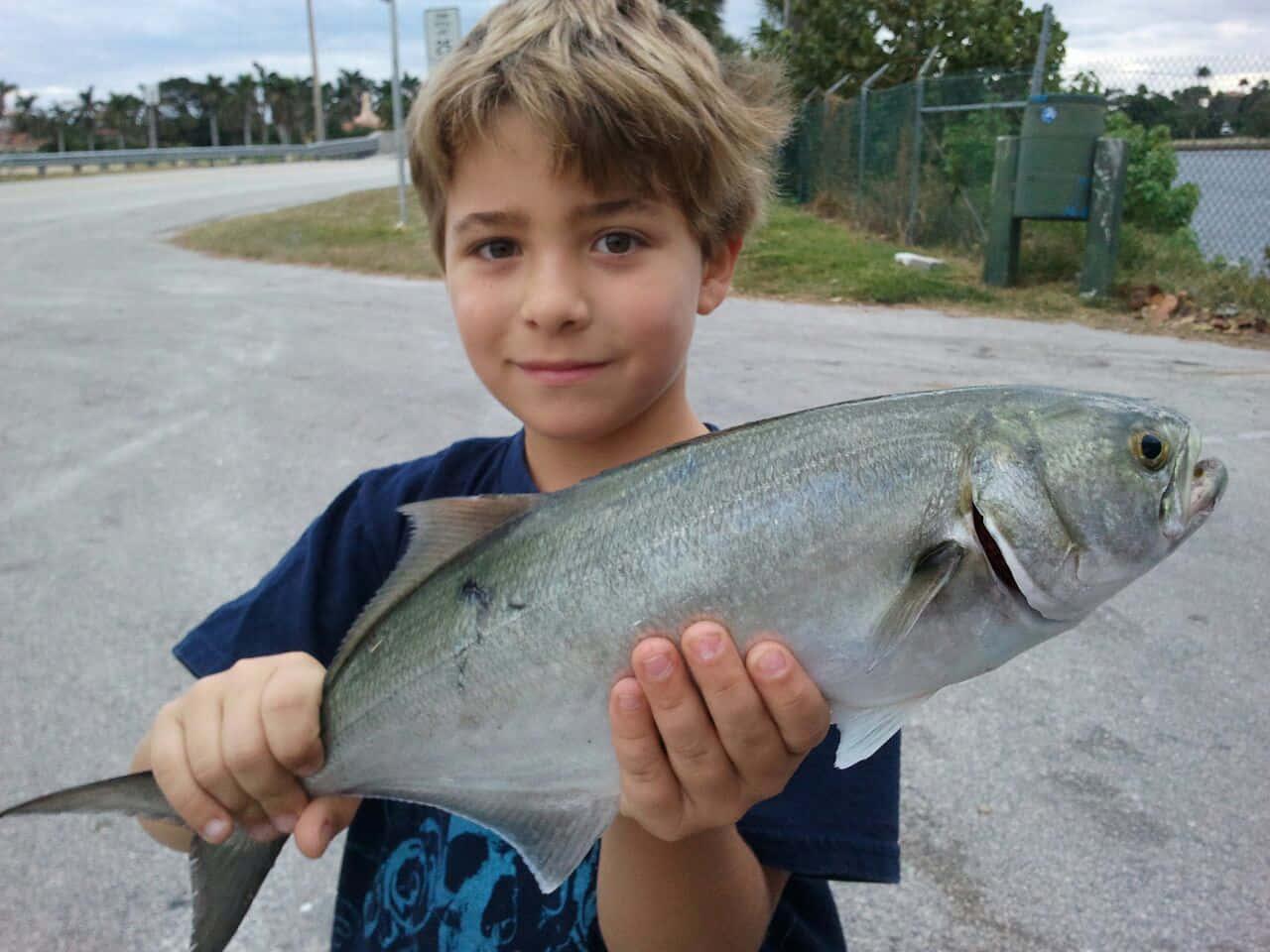 young boy, bluefish, silver fish, HD Desktop Wallpaper