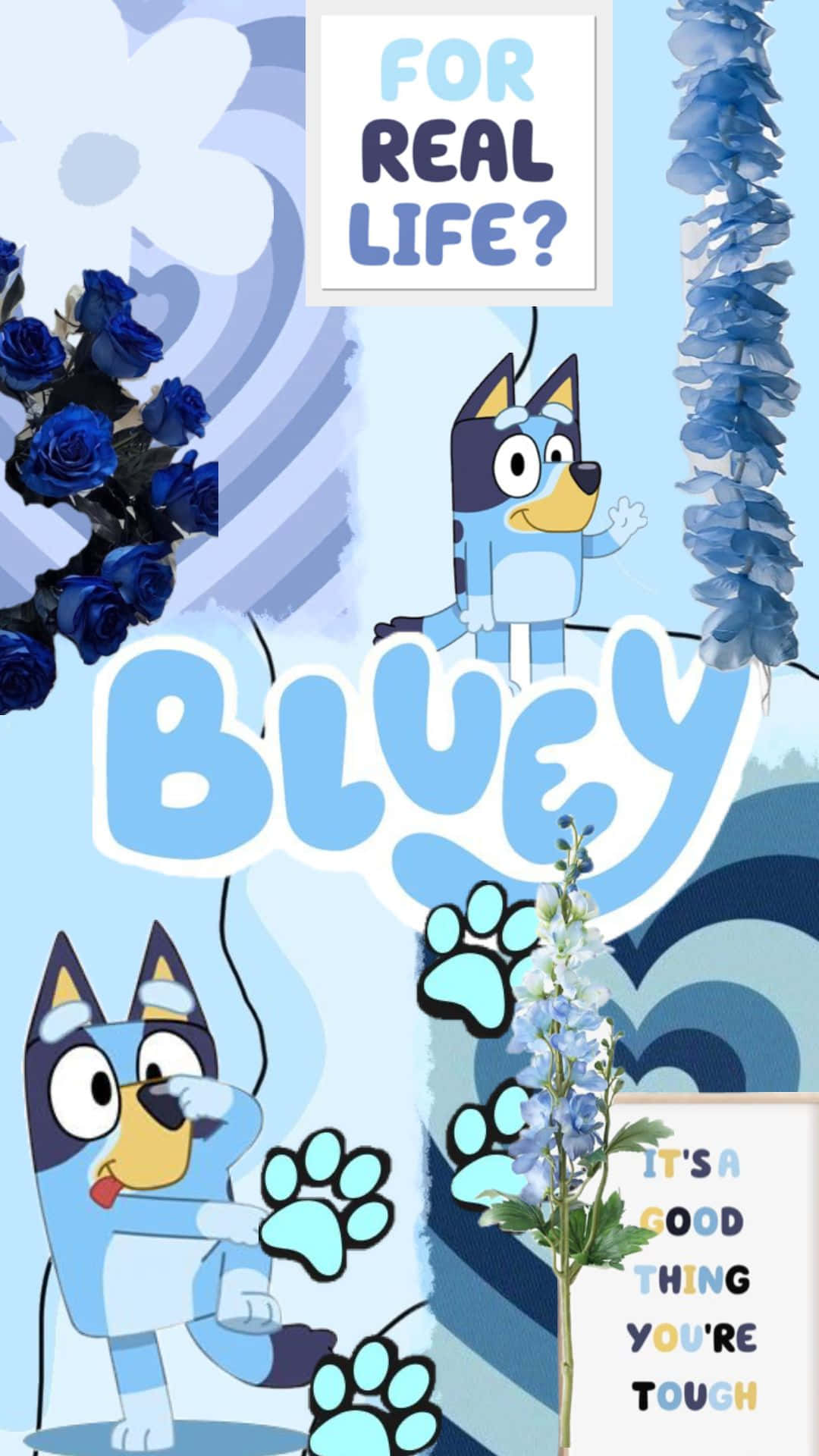 Bluey, blue cartoon dog, blue roses, Full HD Phone Wallpaper